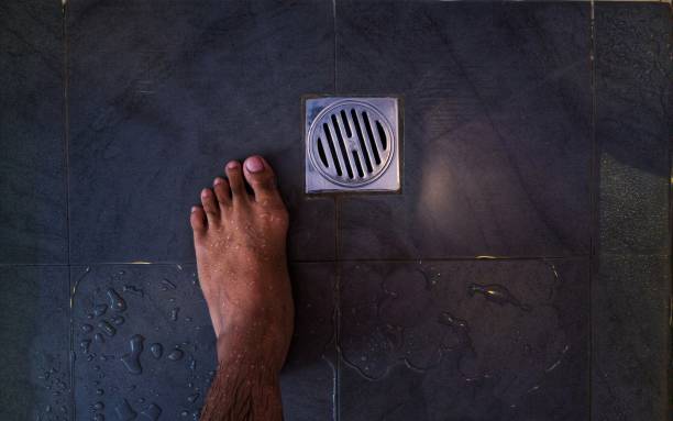 Istockphoto-1331603329-612x612