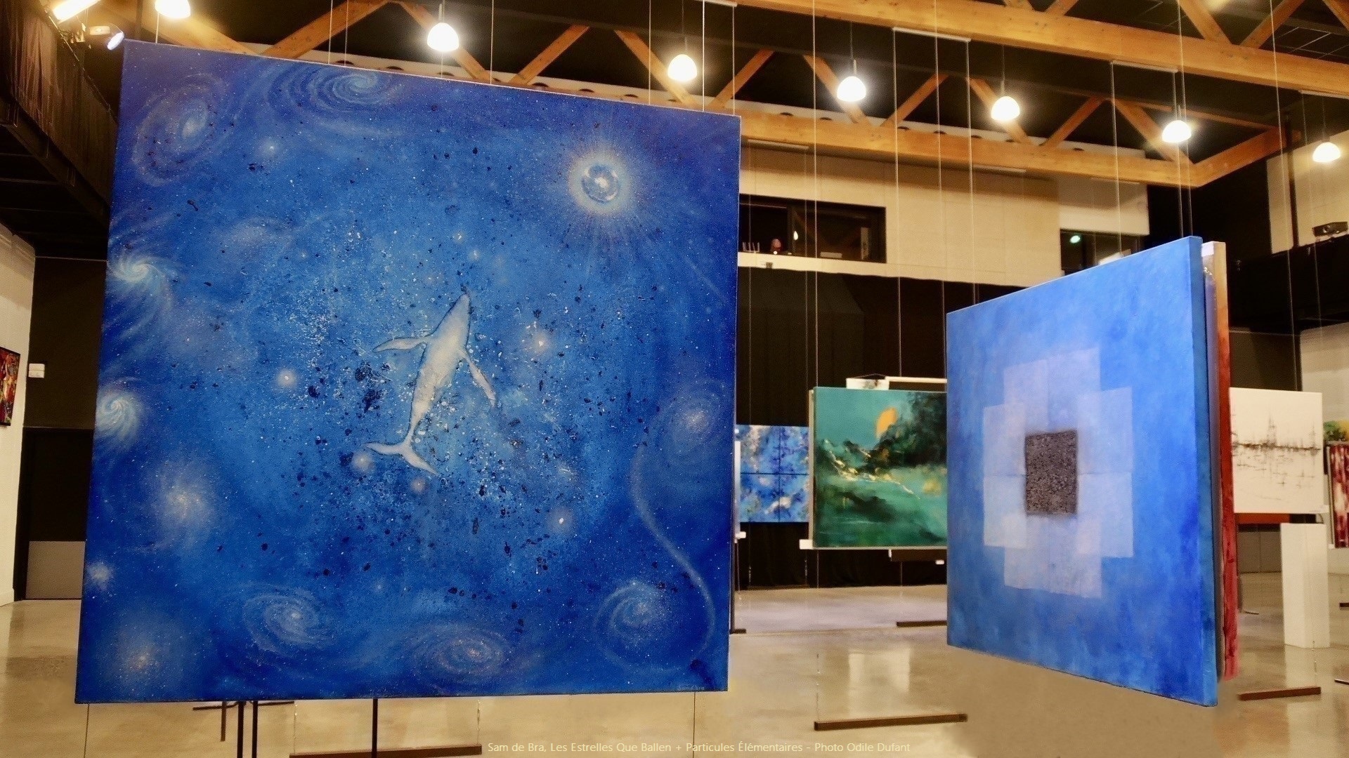 Sam de bra les estrelles que ballen particules elementaires photo odile dufant
