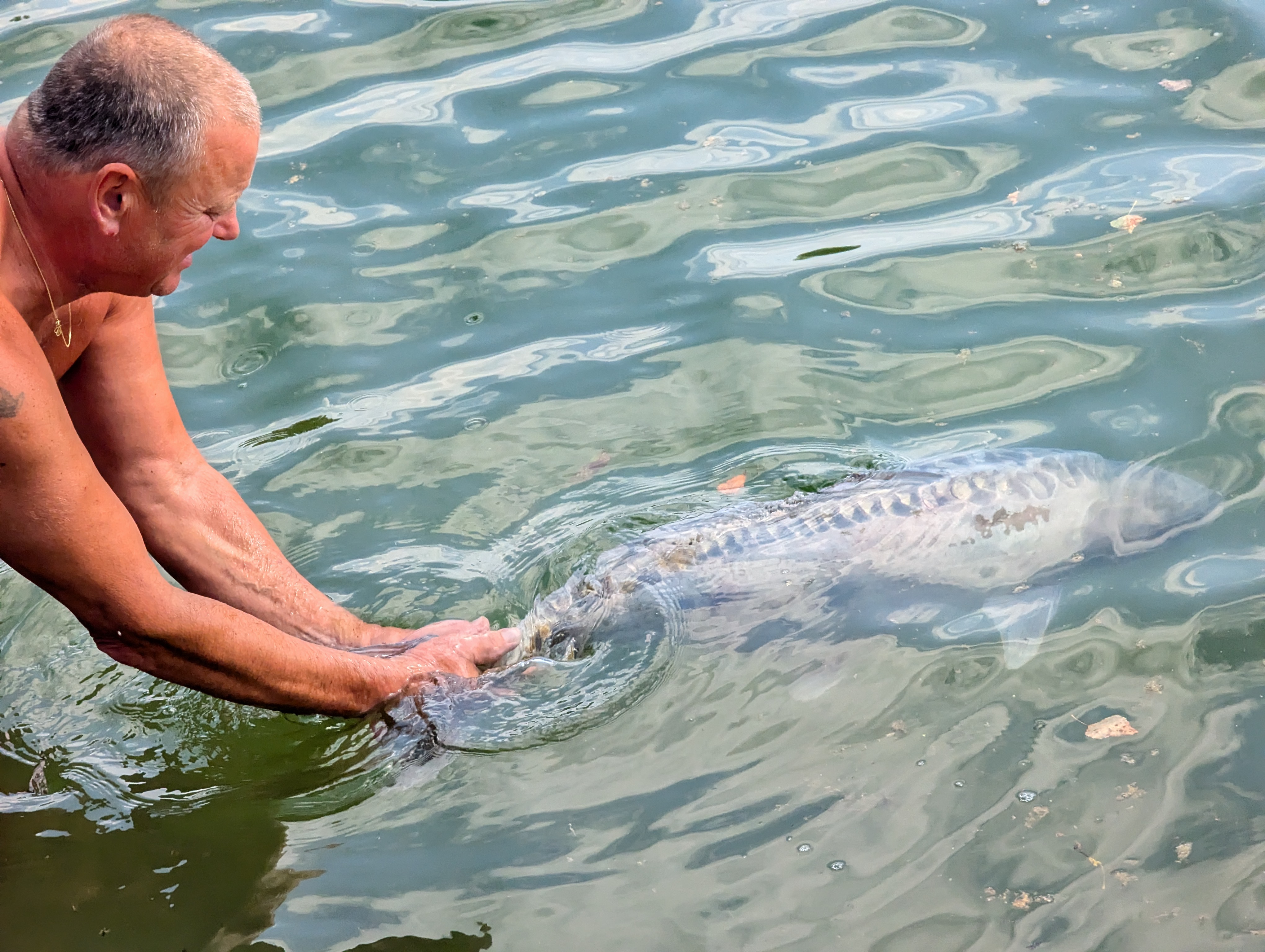 Week-end-Carpes-Aout-2024-36-