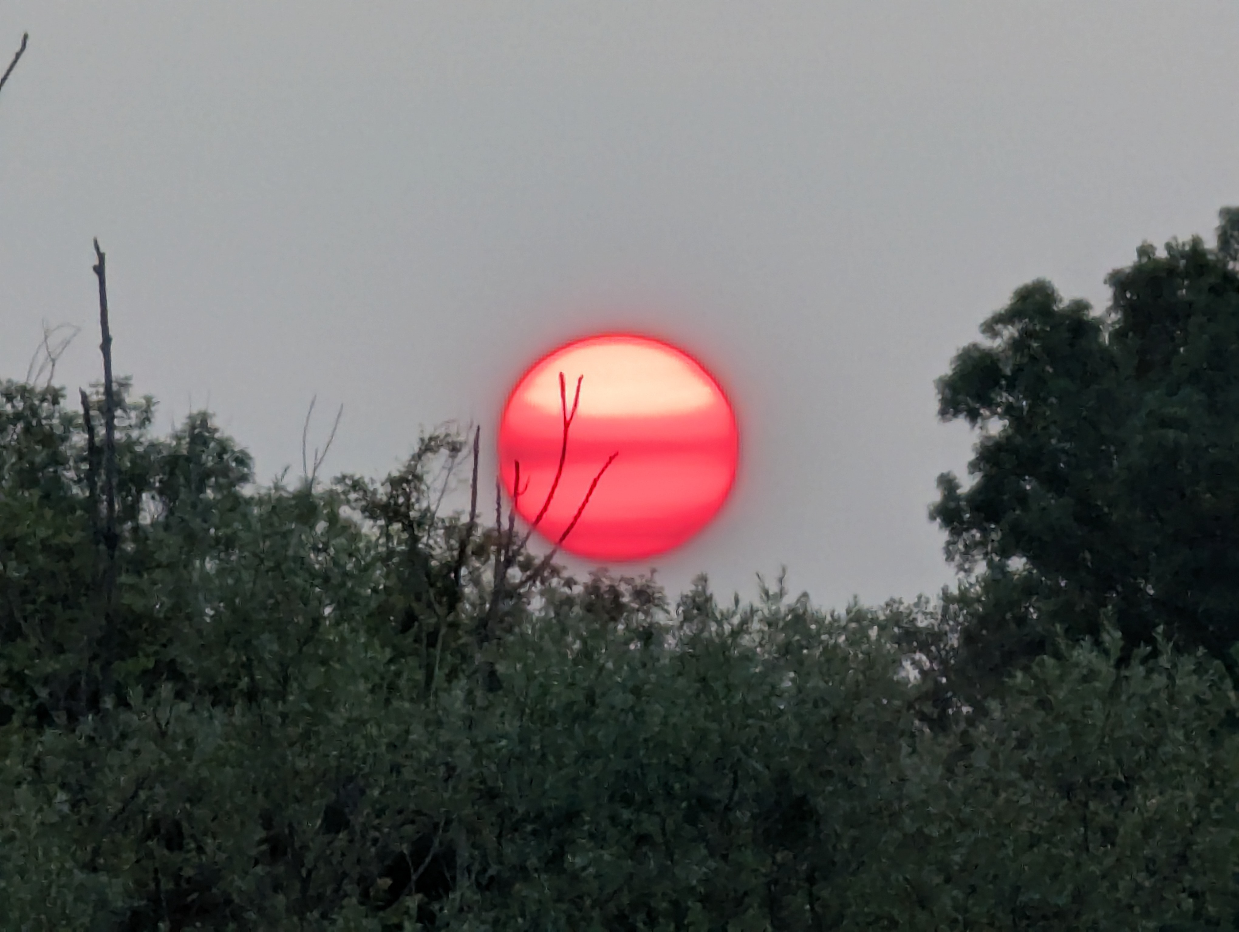 Peche-juillet-2025-13-