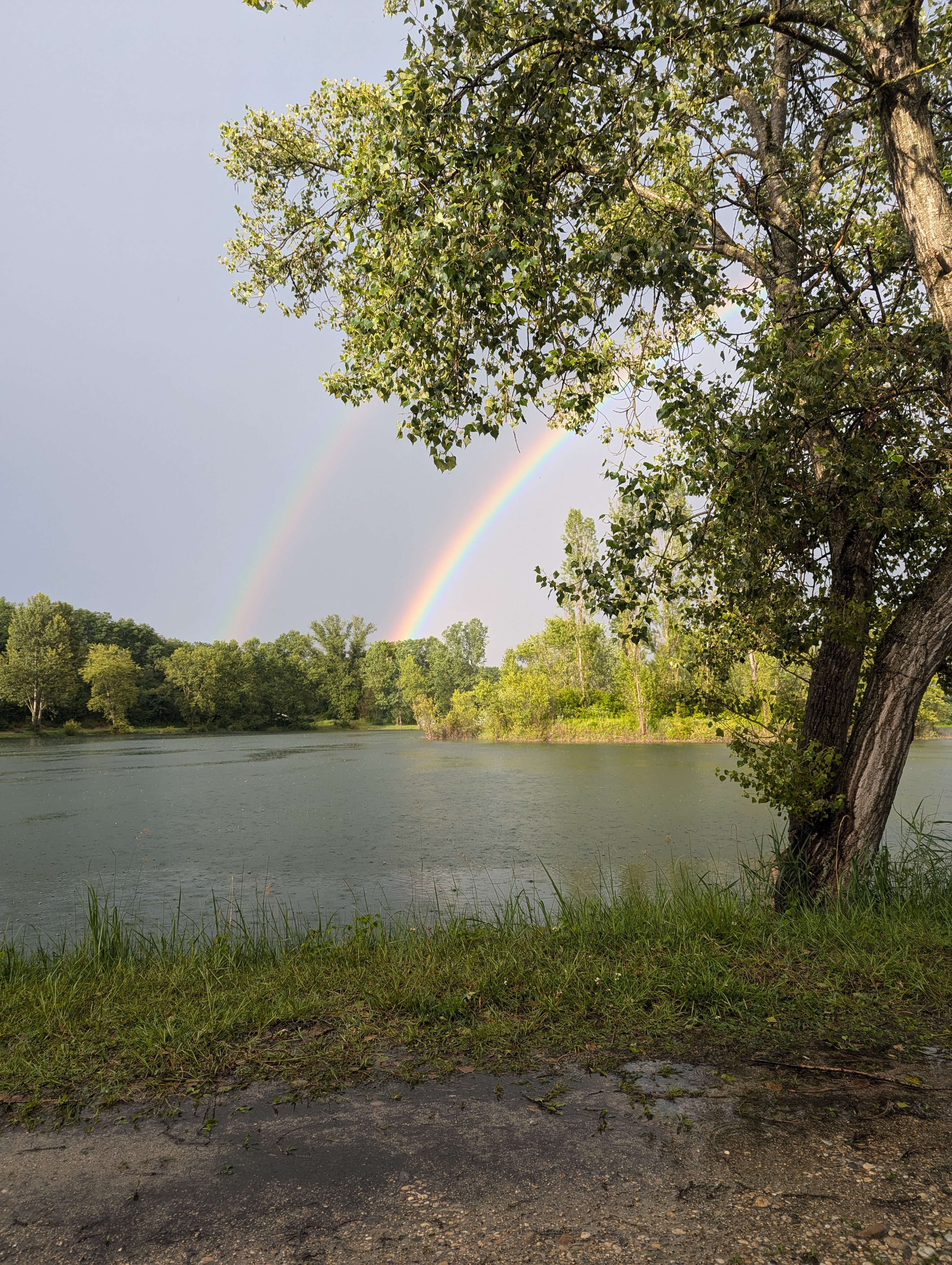 Peche-carpes-juin-2024-9-