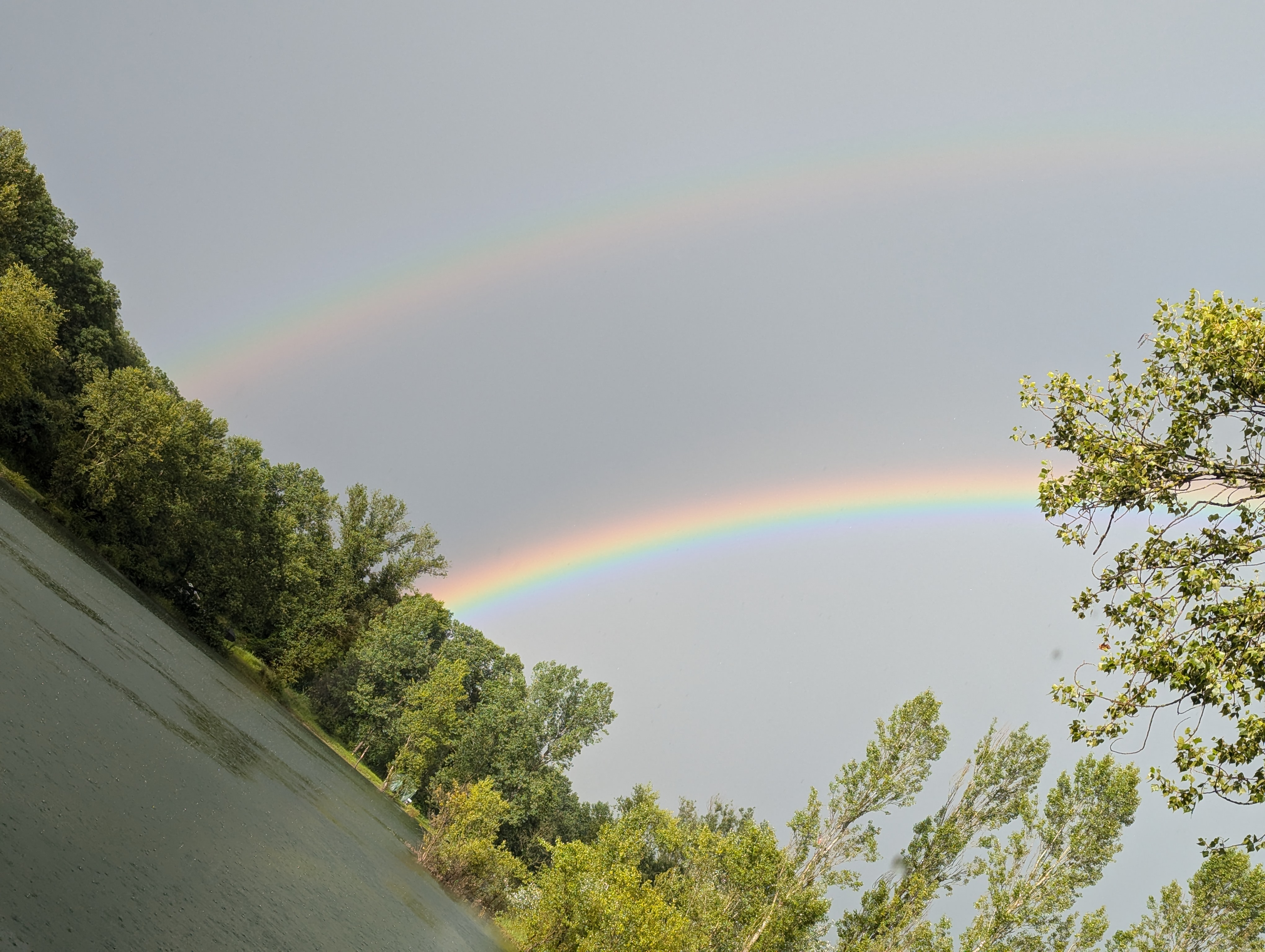 Peche-carpes-juin-2024-1-