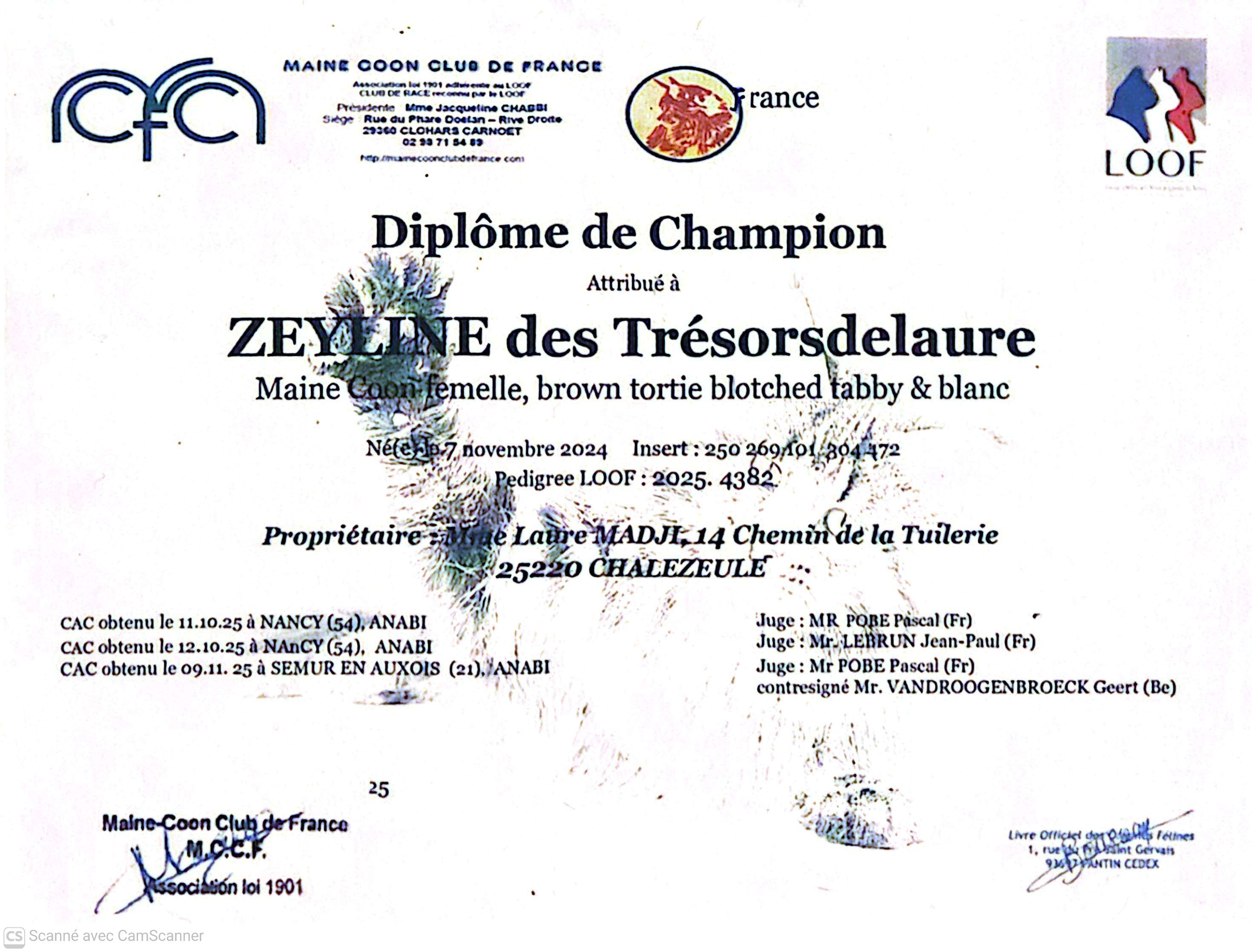 Camscanner 19 11 2025 17 09 1 