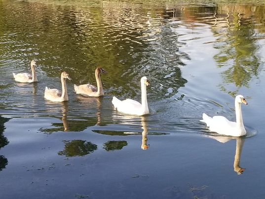 307297158 608191120985532 8473255252856926620 n