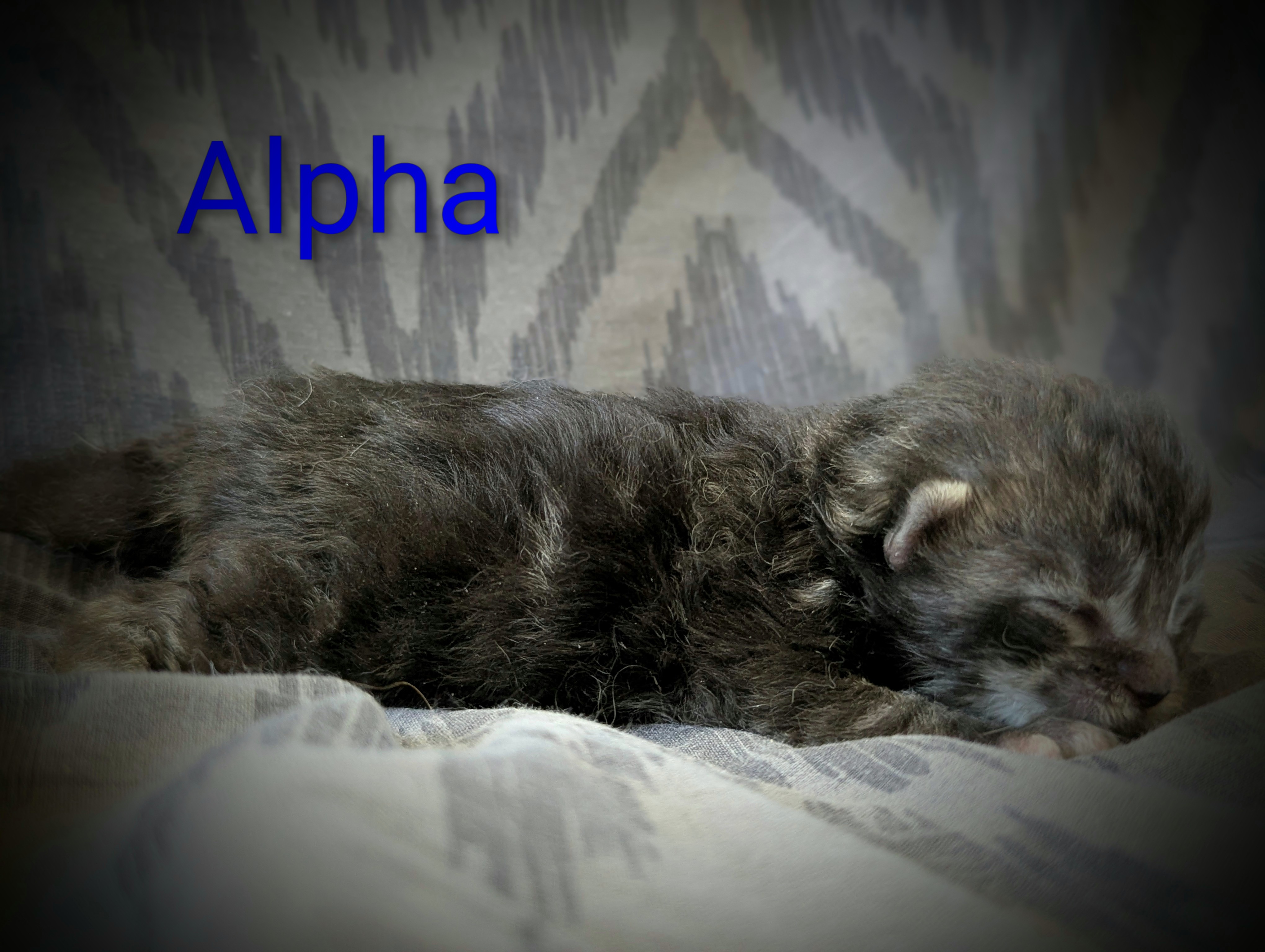 Pxl 20251117 135911066-portrait-2