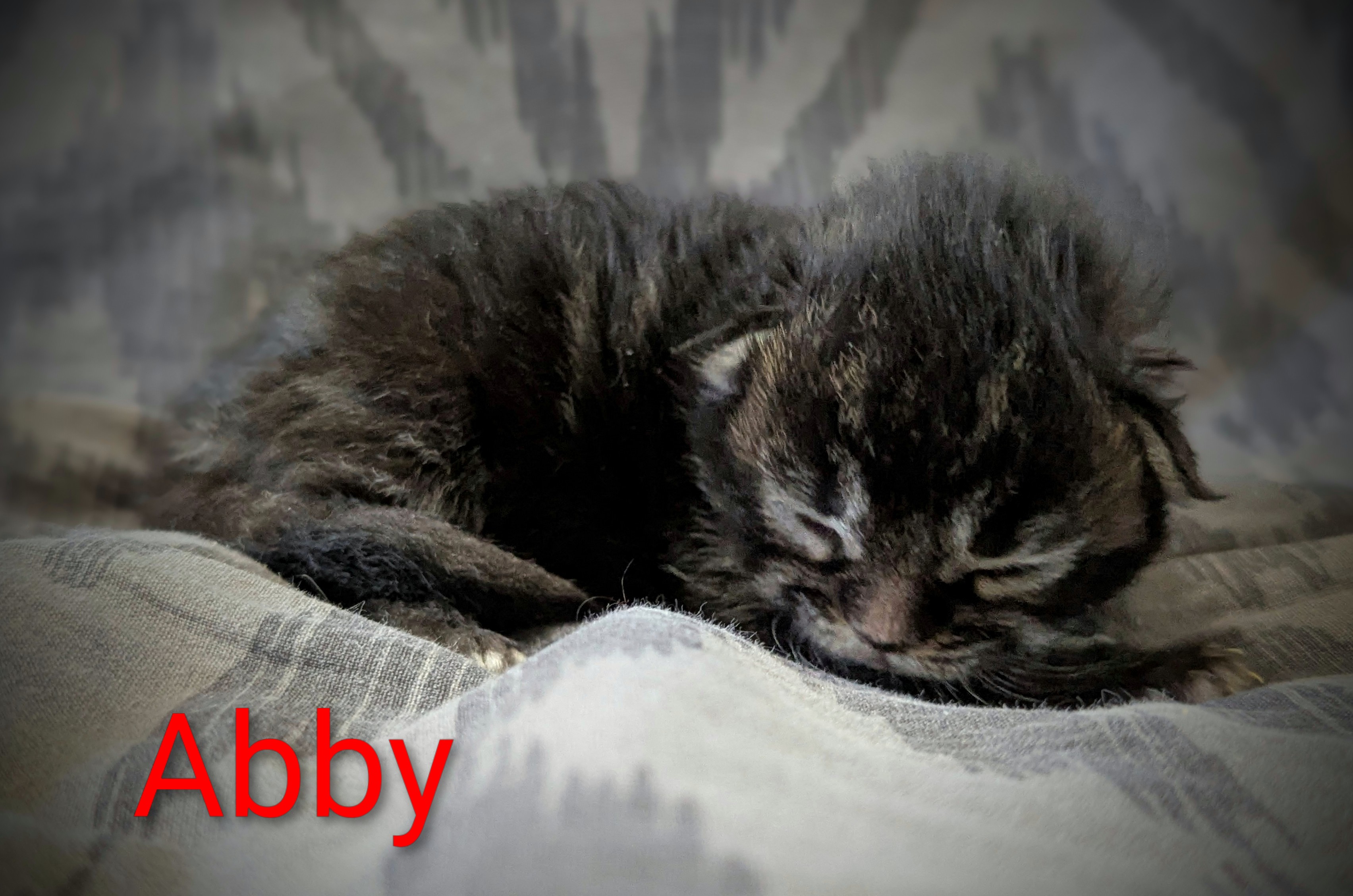 Pxl 20251117 135822042-portrait-3