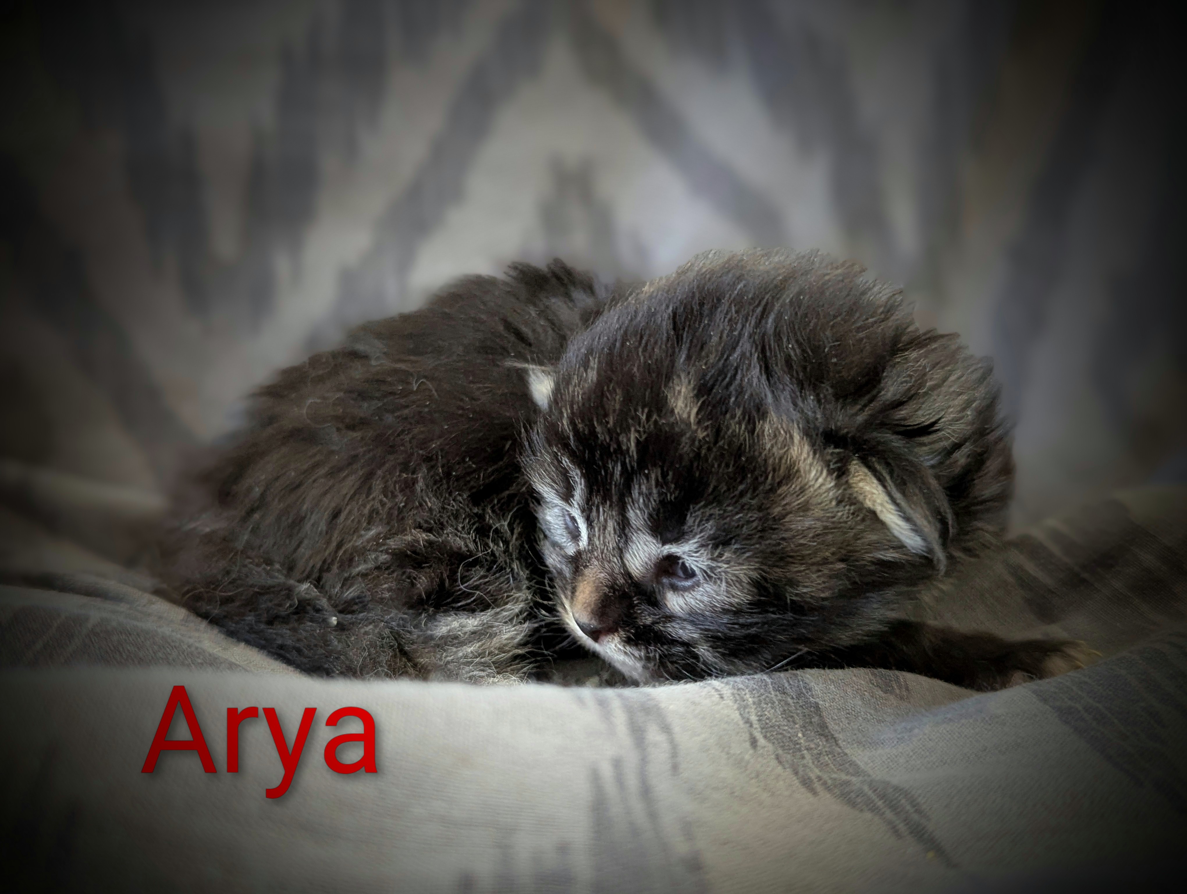 Pxl 20251117 135711223-portrait-2