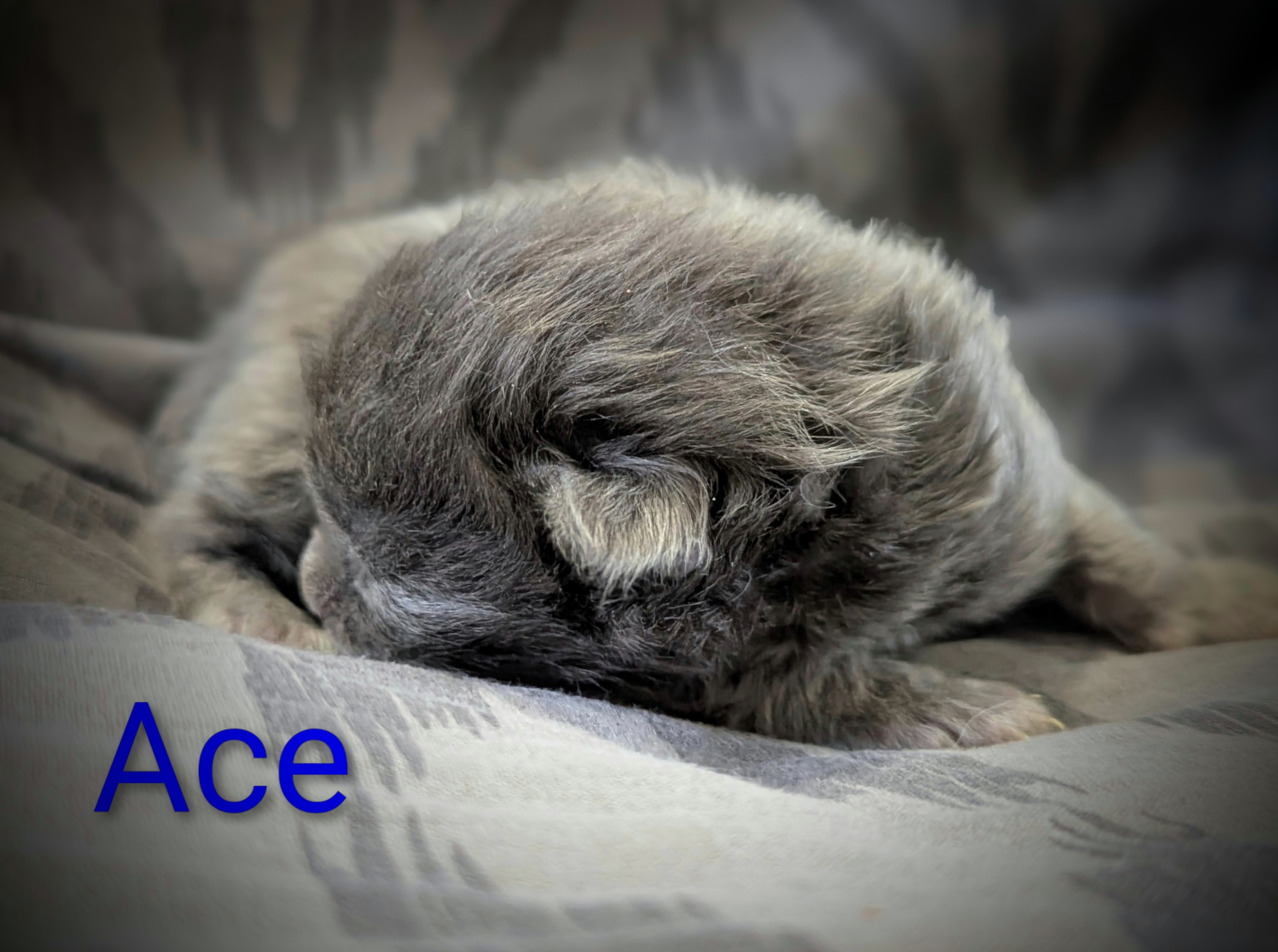 Pxl 20251117 135428625-portrait-2