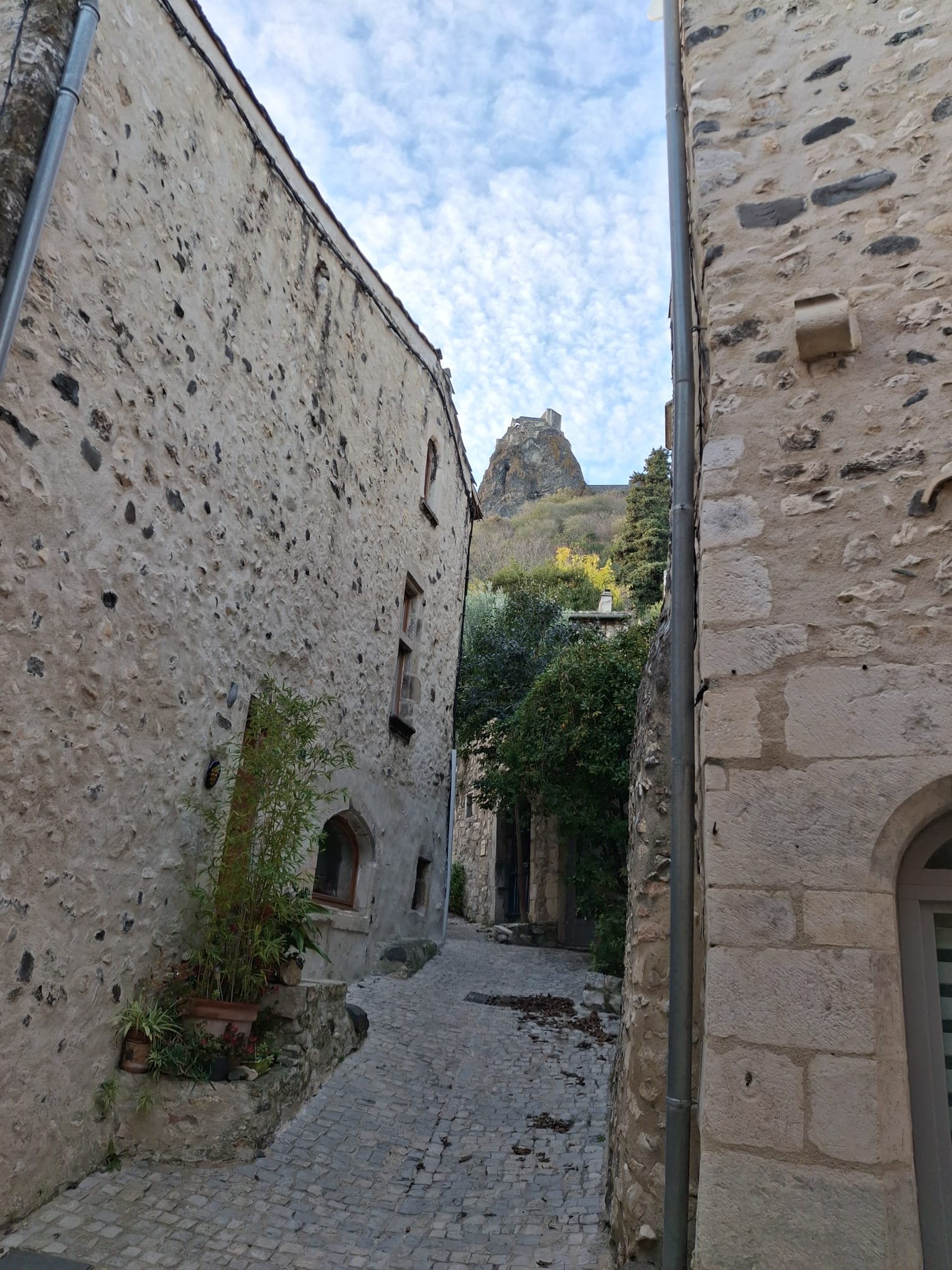 Img 20251120 wa00250001