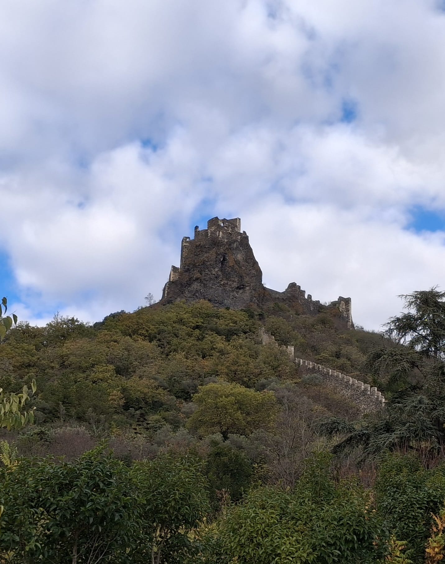 Img 20251120 wa00240001