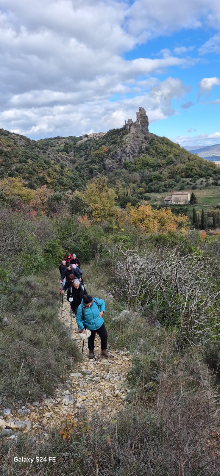 Img 20251120 wa00220001