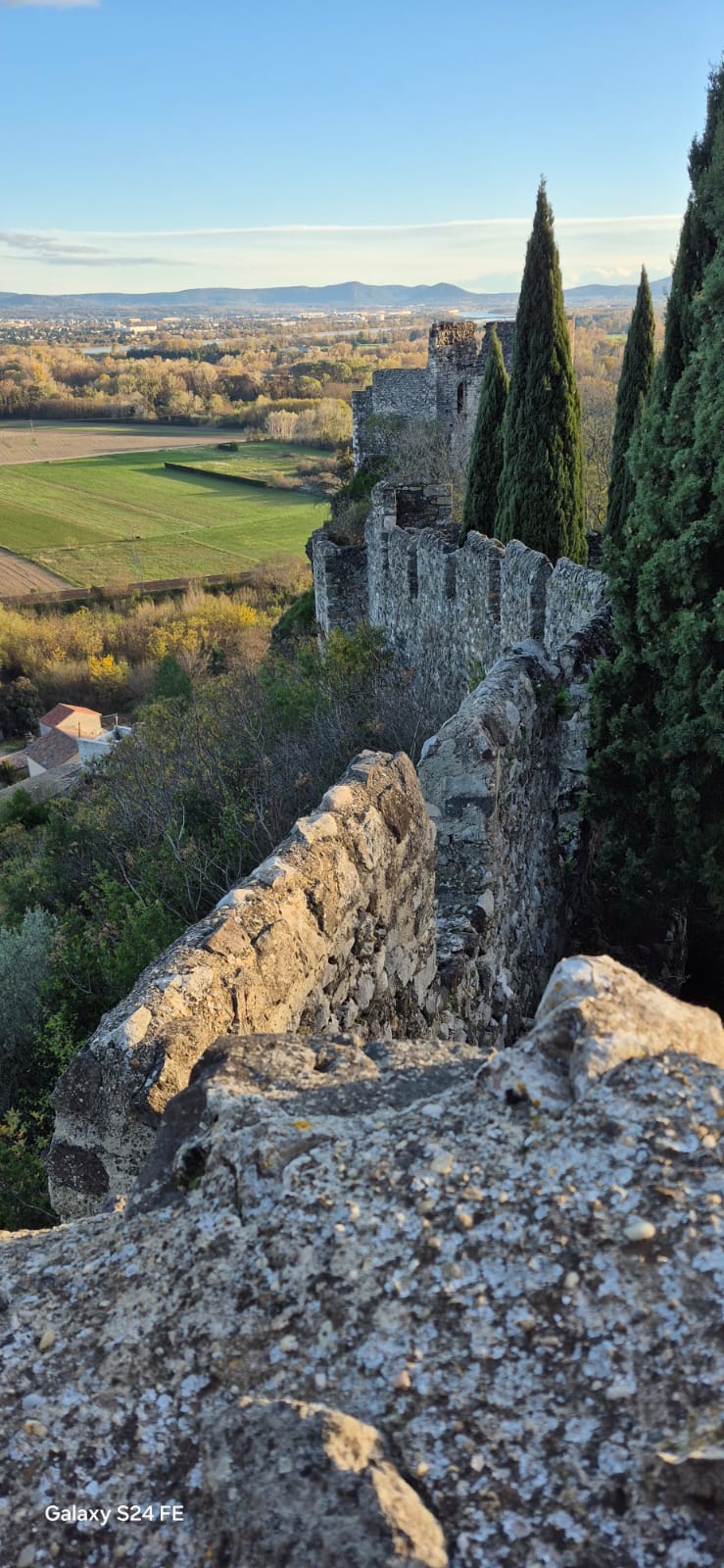 Img 20251120 wa00190001