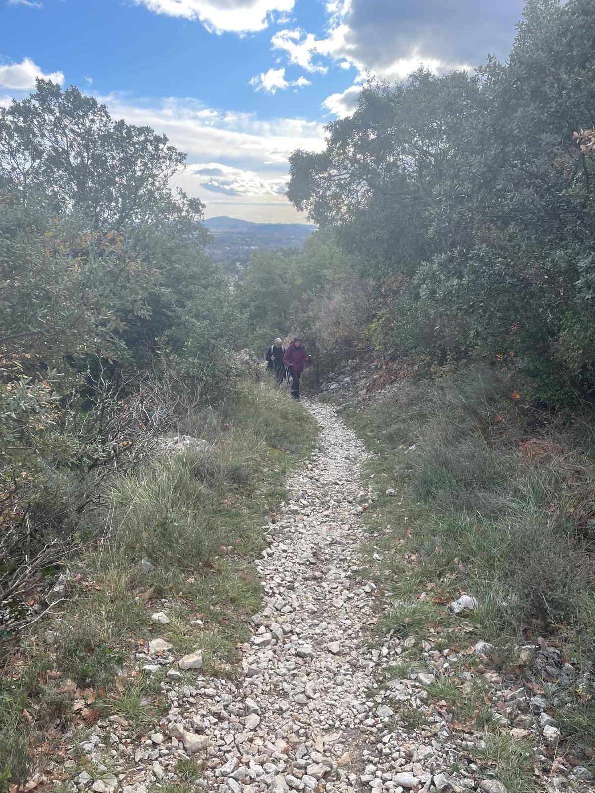 Img 20251120 wa00180001