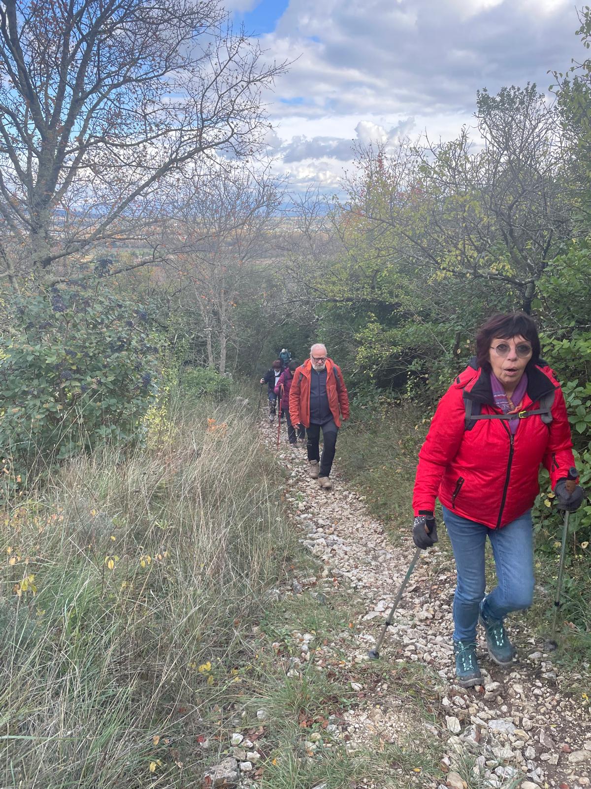 Img 20251120 wa00170001