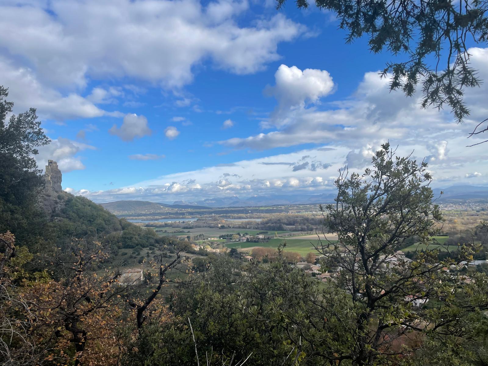 Img 20251120 wa00120001