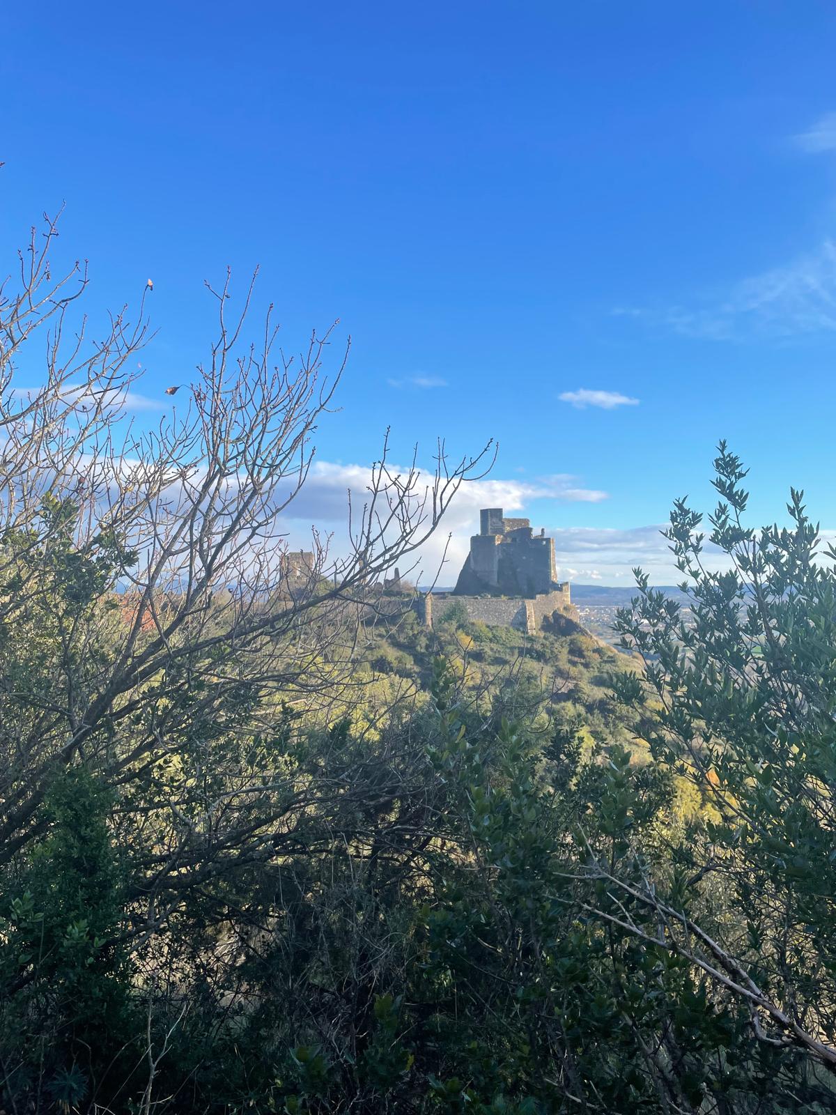 Img 20251120 wa00100001