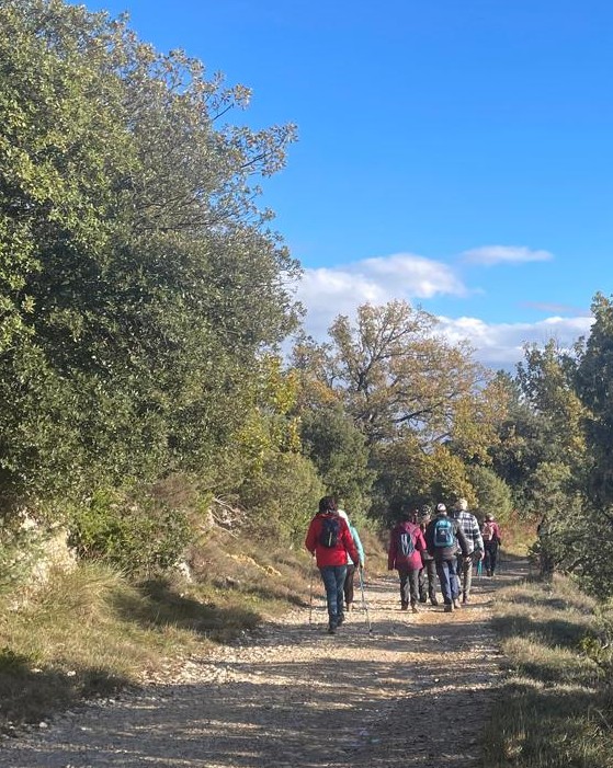 Img 20251120 wa00090001