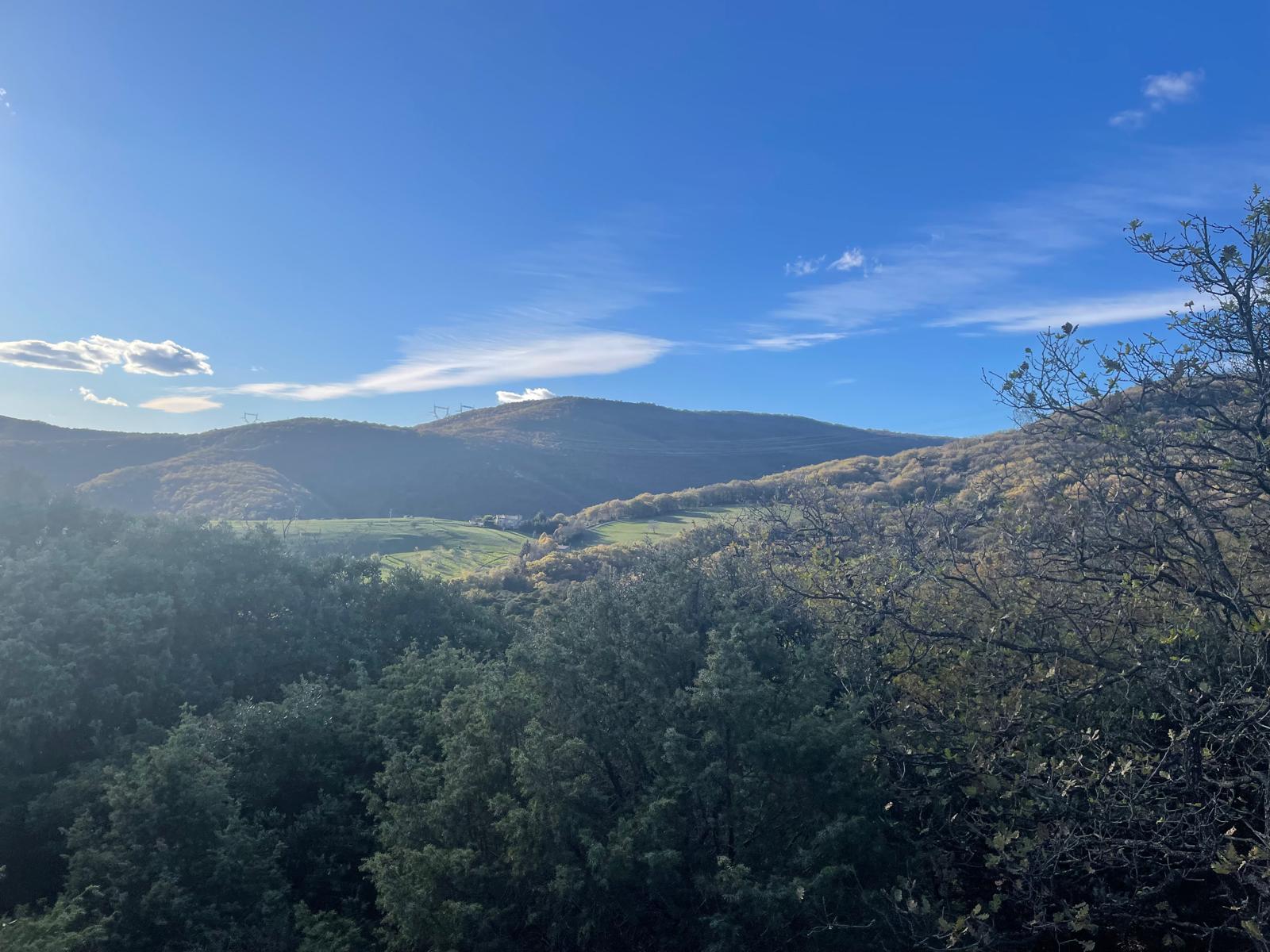 Img 20251120 wa00080001