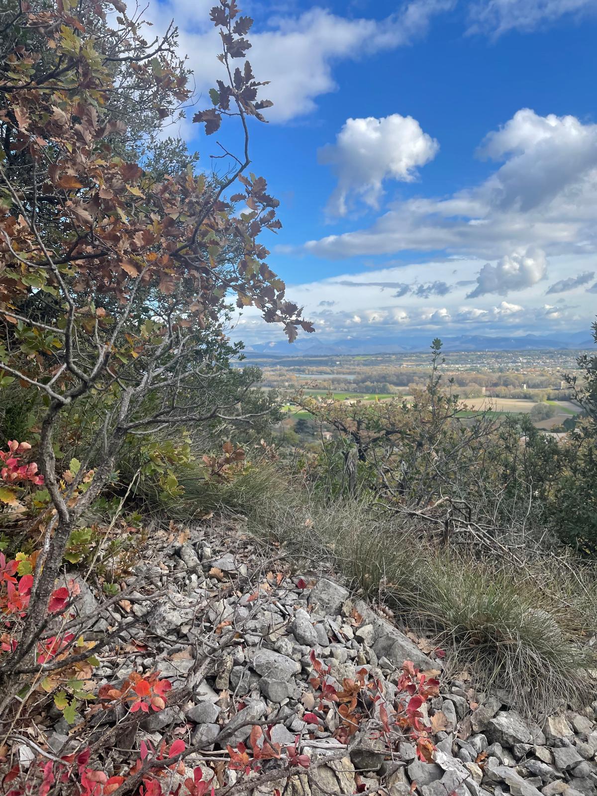 Img 20251120 wa00070001