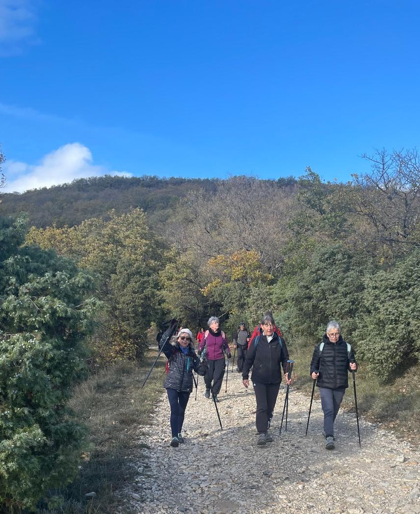 Img 20251120 wa00020001