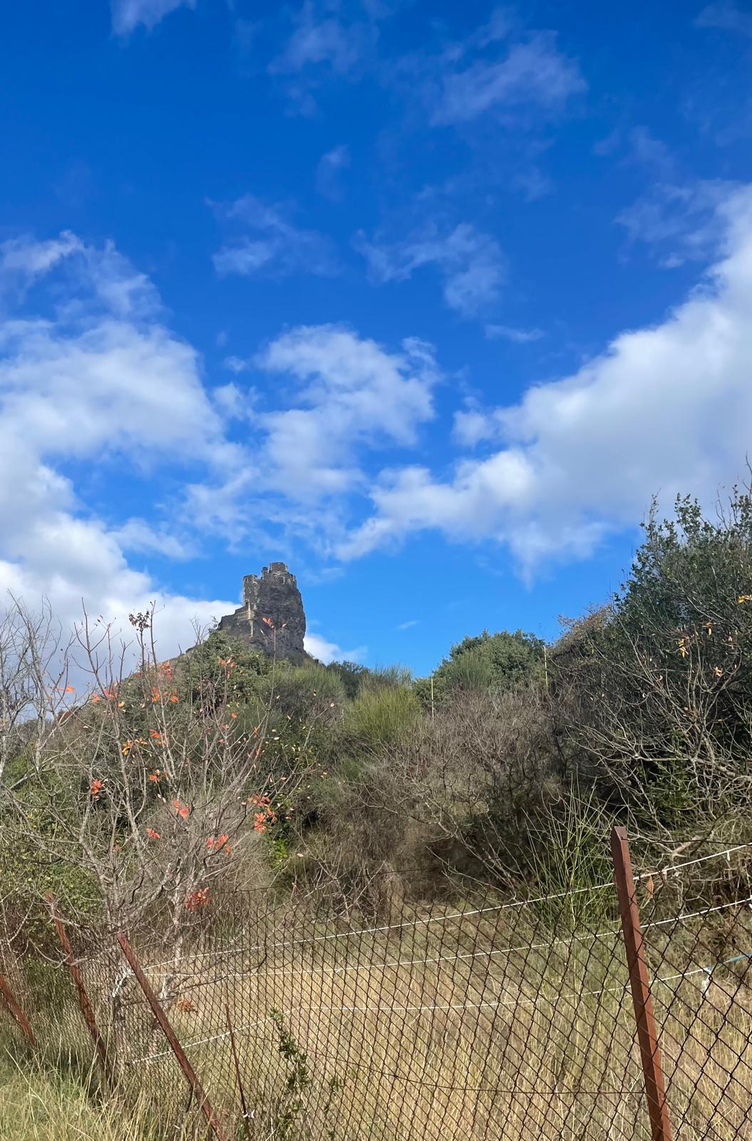 Img 20251120 wa00000001