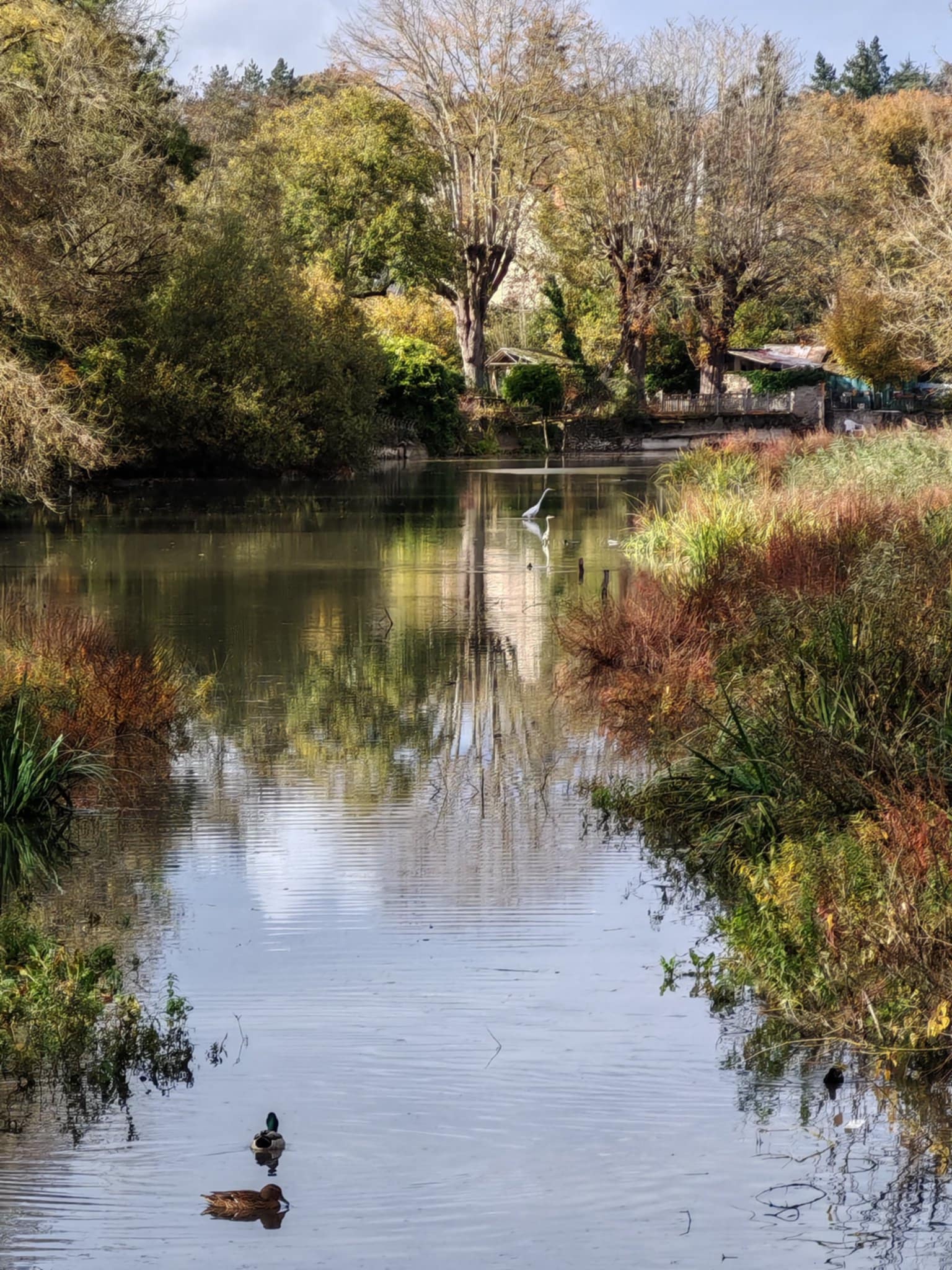 D6d883ba 9248 4a85 873f d2a40b1b967f