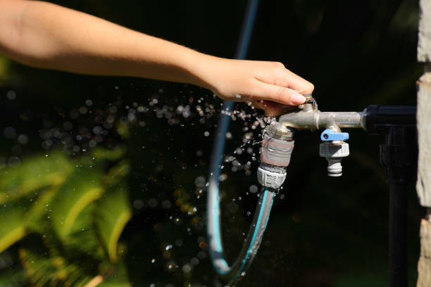 Istockphoto-2173893500-612x612