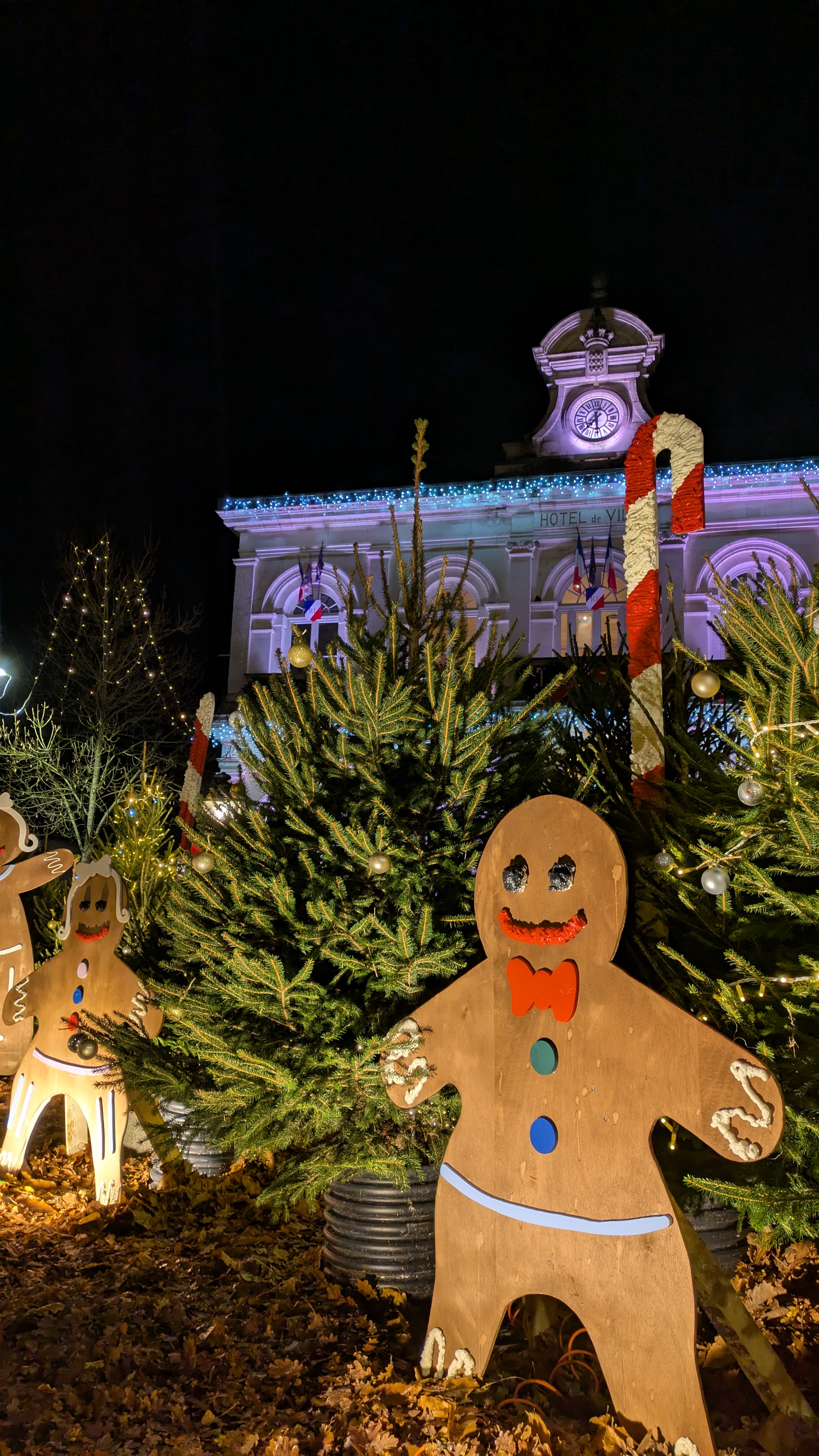 Pxl 20241122 183113032