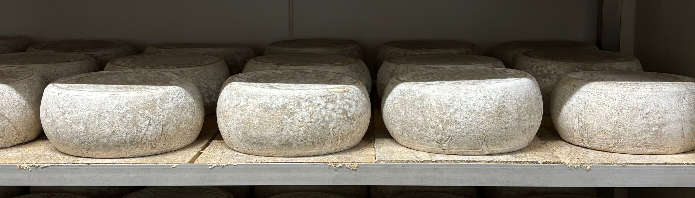 Banner fromagerie de flandre 2