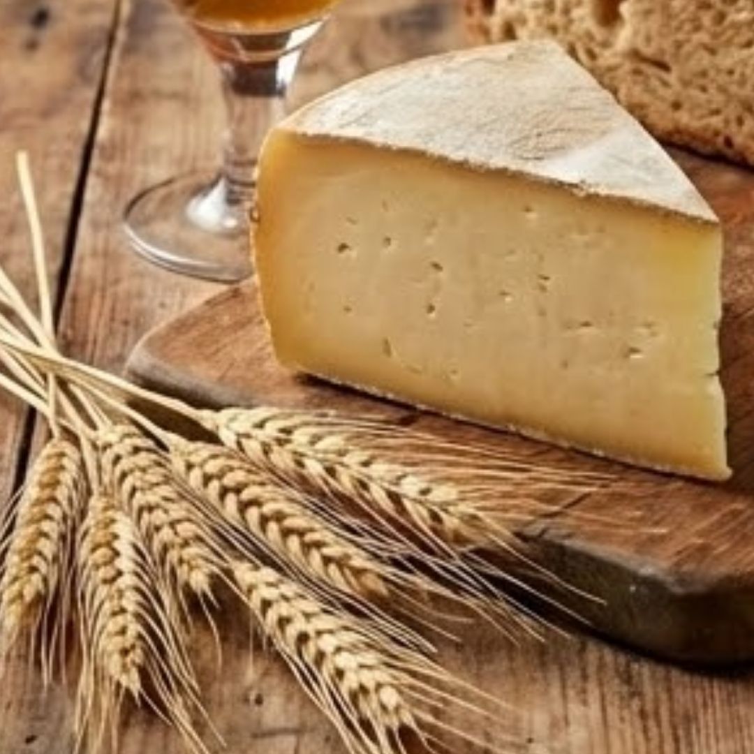 Tomme de flandre nature fromagerie de flandre4