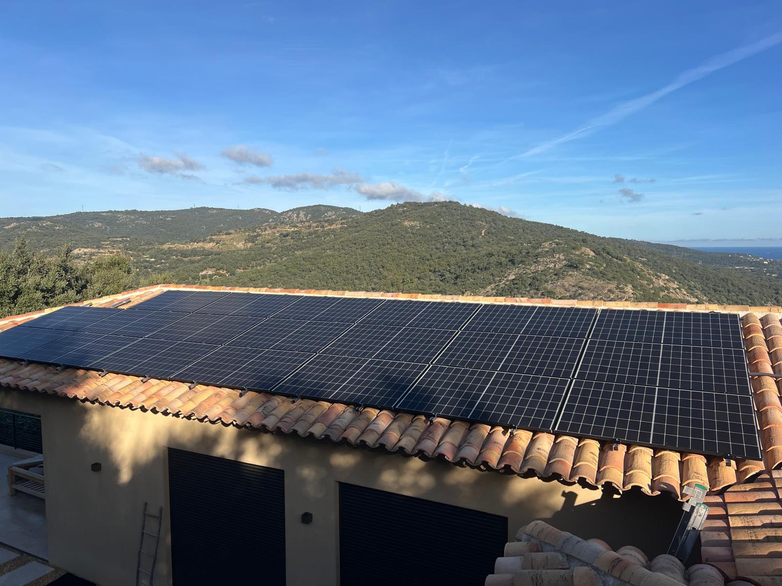 Photo 2025 11 13 15 18 35 3