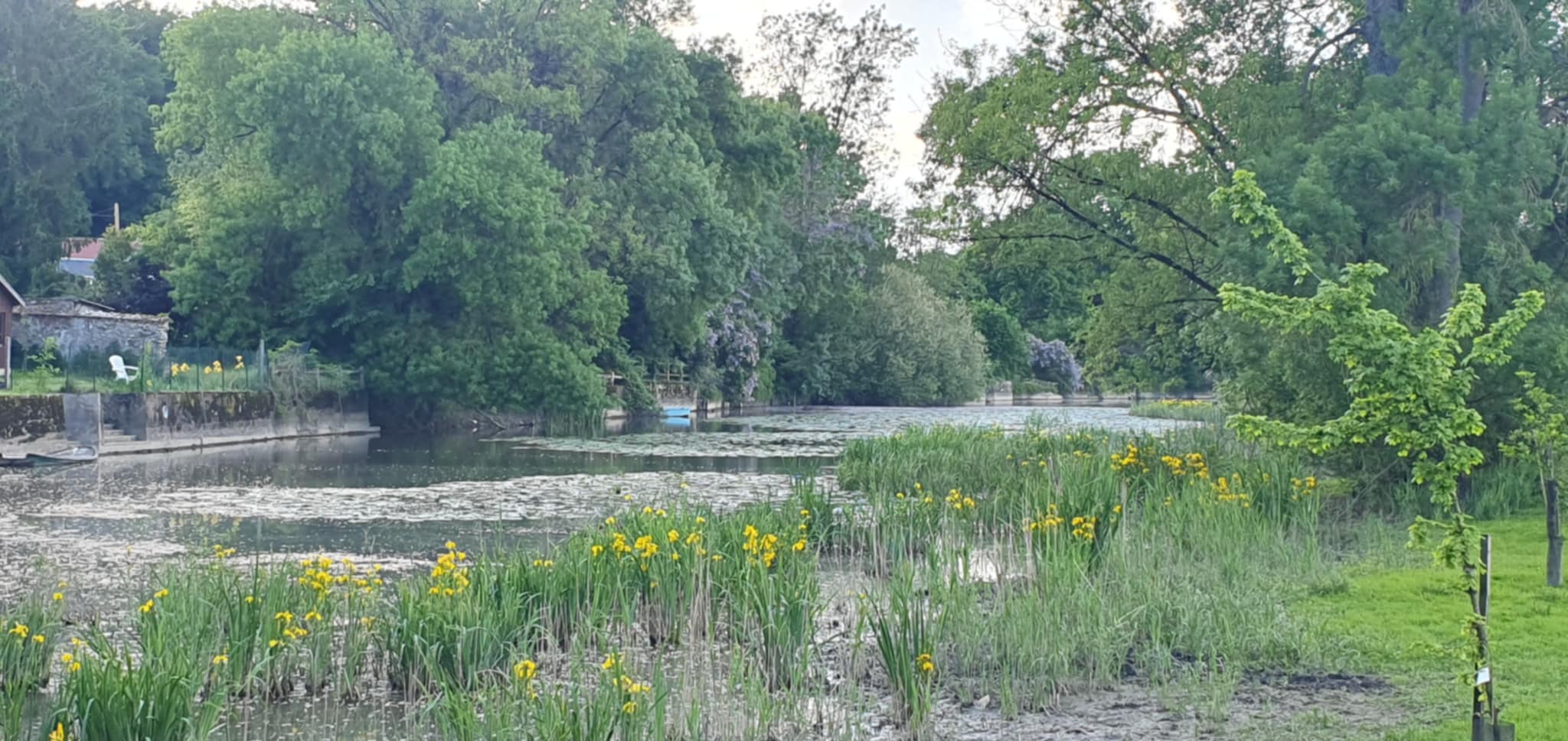 017c9425 6745 46a9 bf72 d6c9f8c7df44