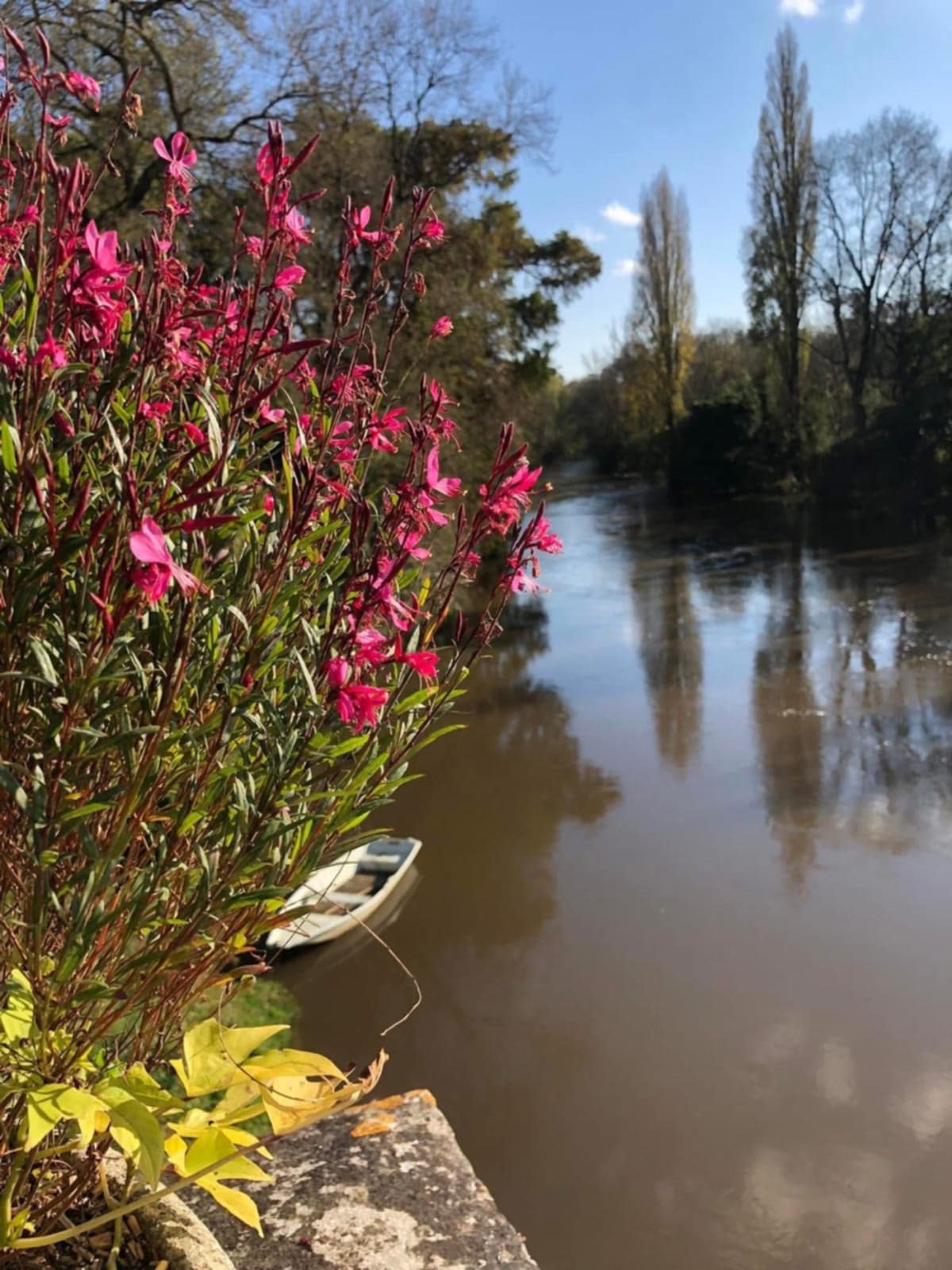 14cb1870 e551 41ef bda6 e6bd10ebeabb