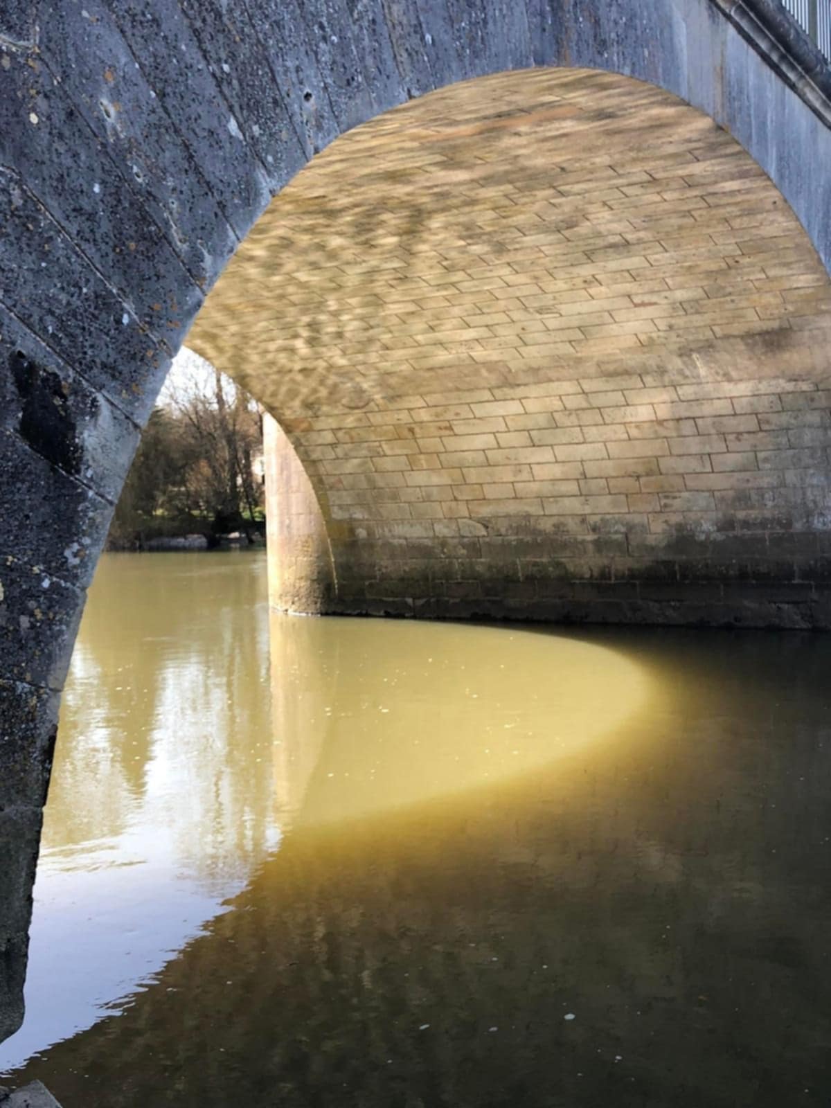 9a7942b4 3b08 47d2 be4f 3538da619c4b