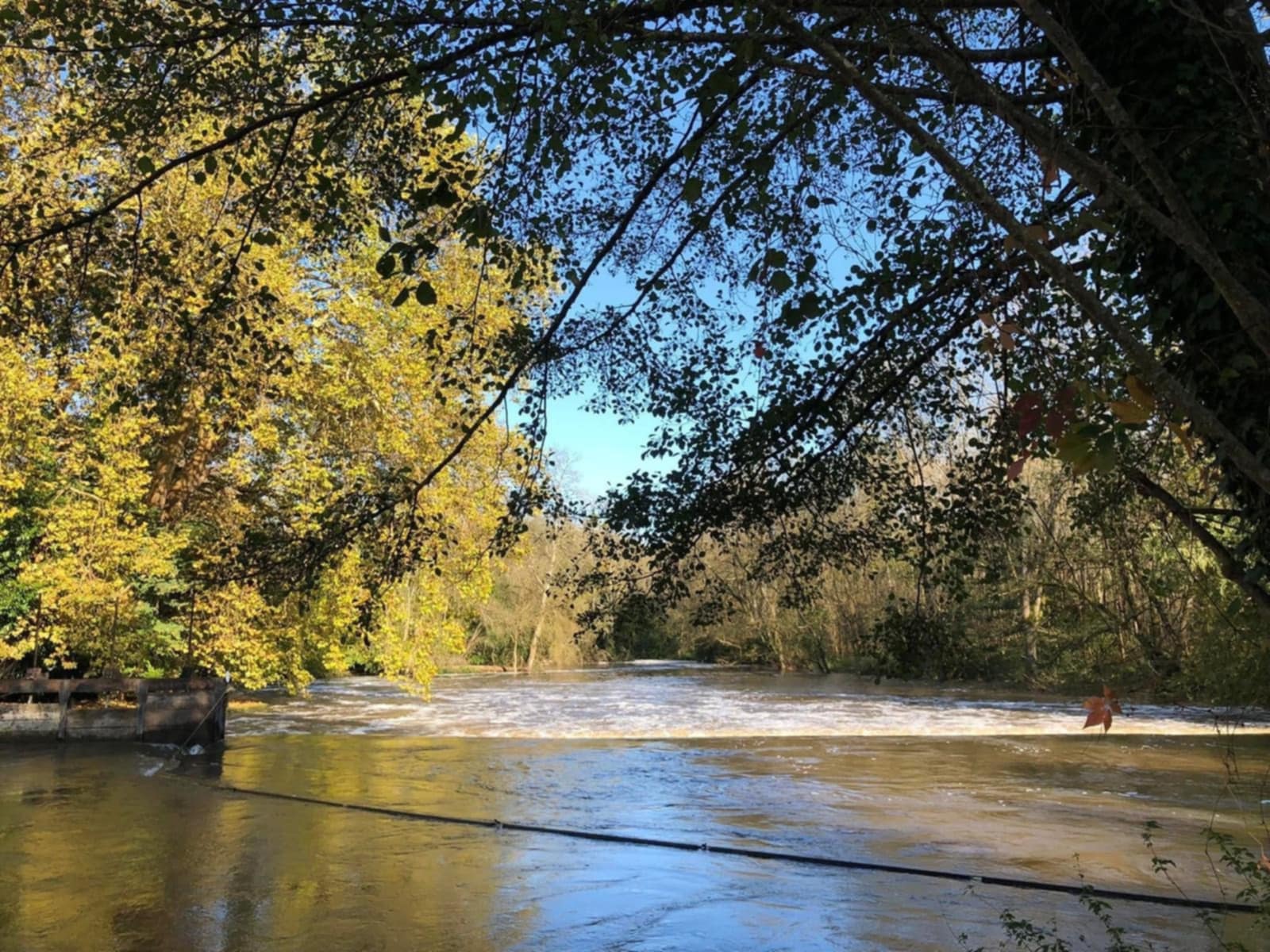 4194888c a6d3 4f56 8feb 87549985bb23