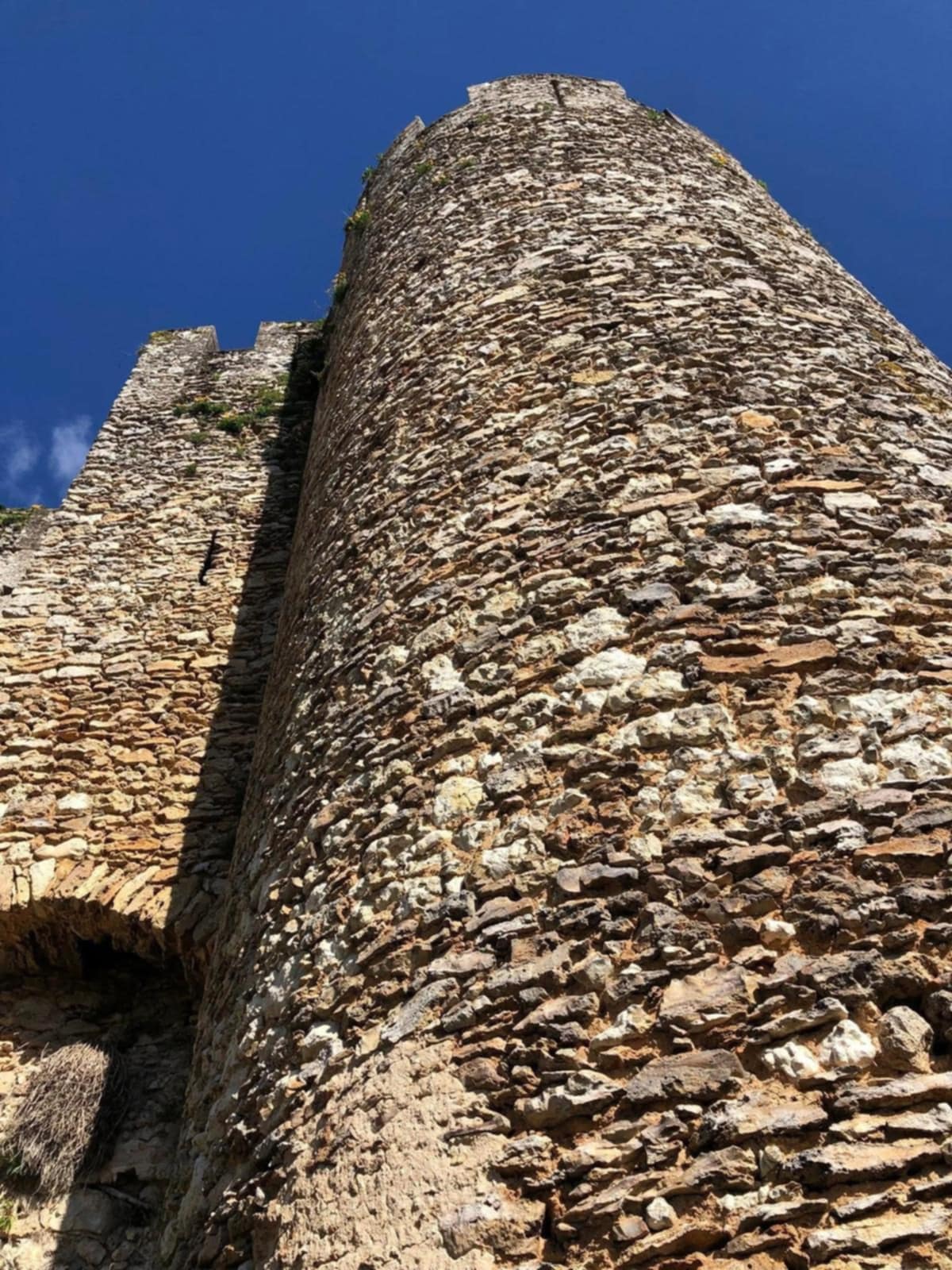 C87aba91 80a3 409c b704 53b6d269f6b2