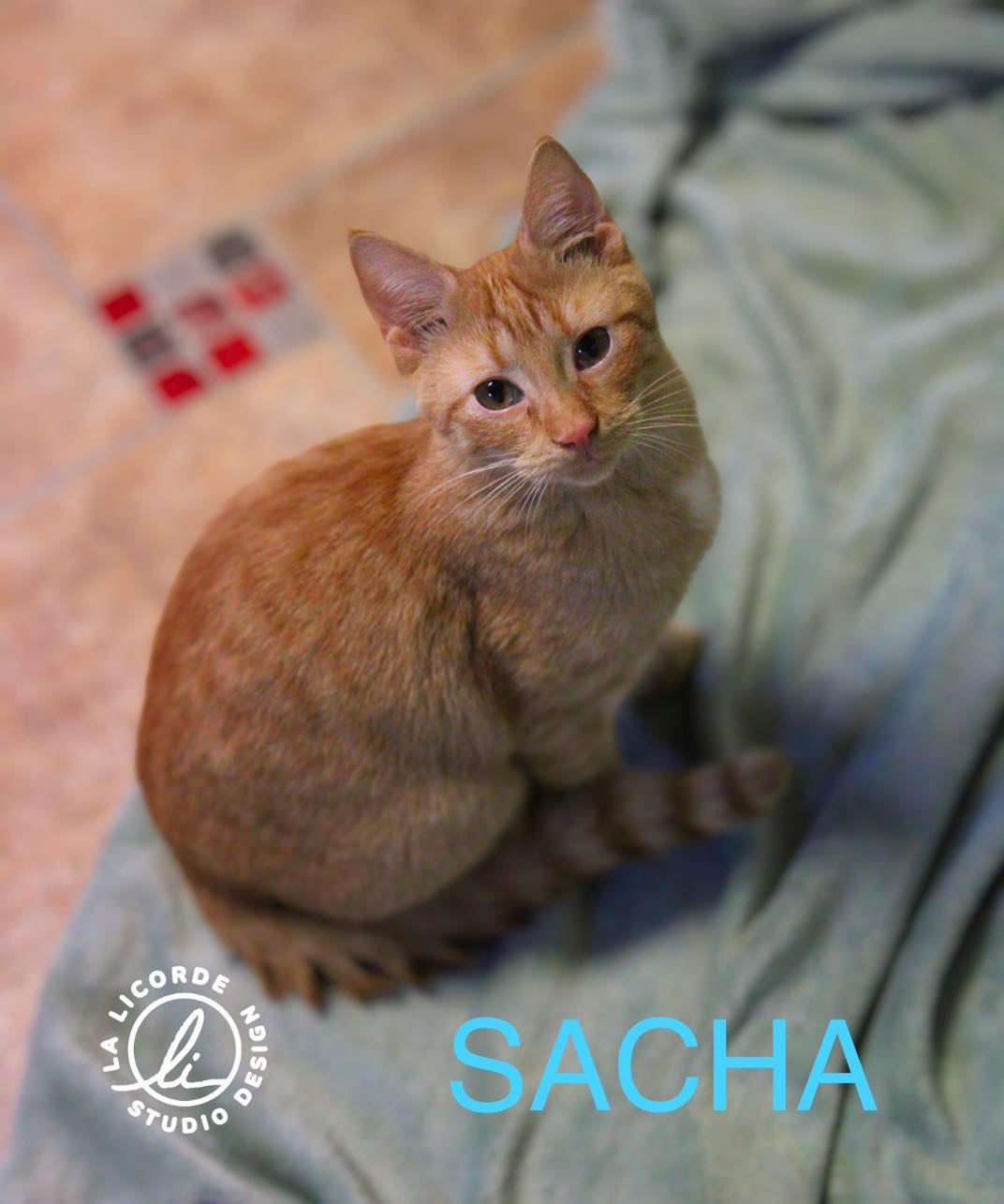 Sacha