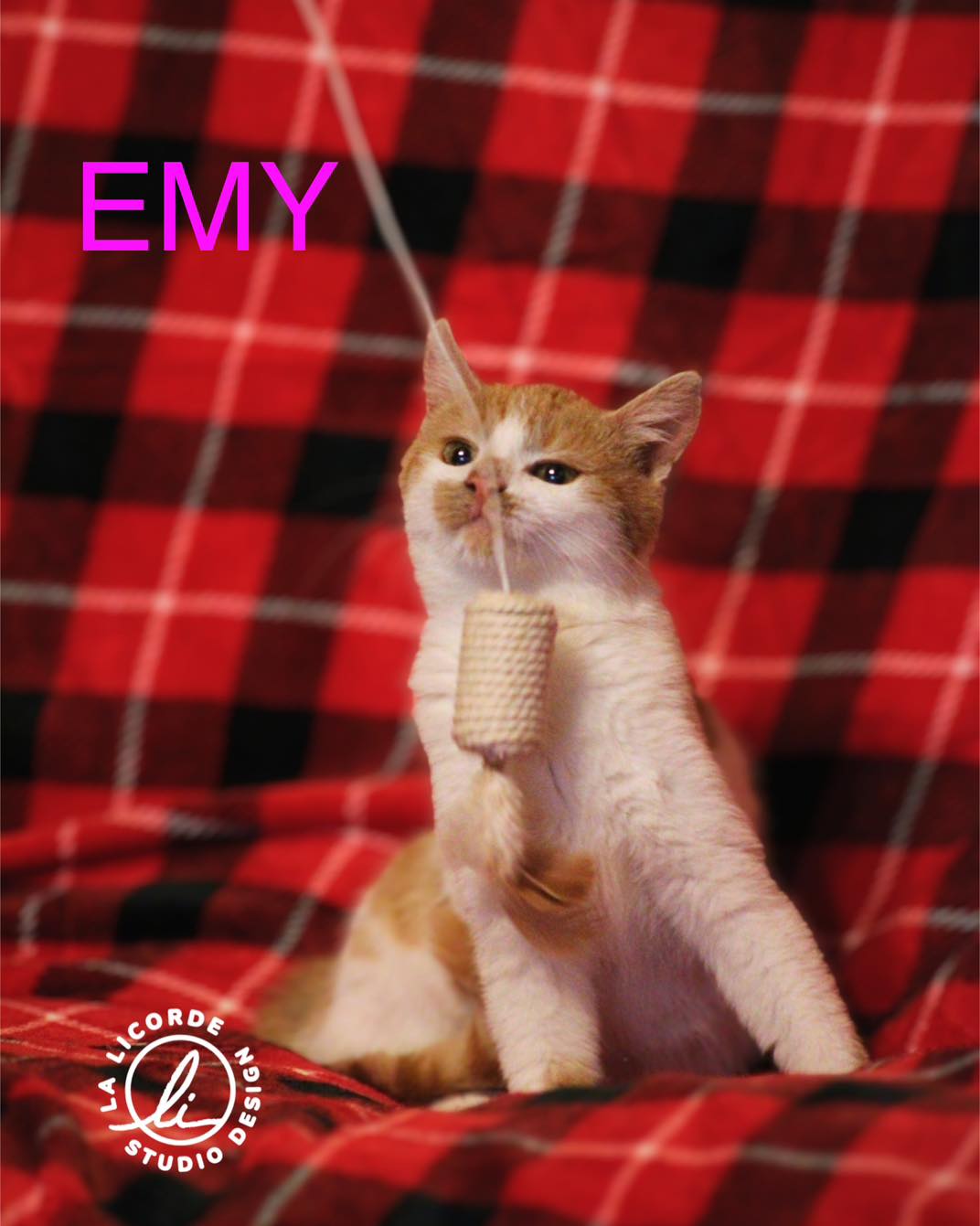 Emy