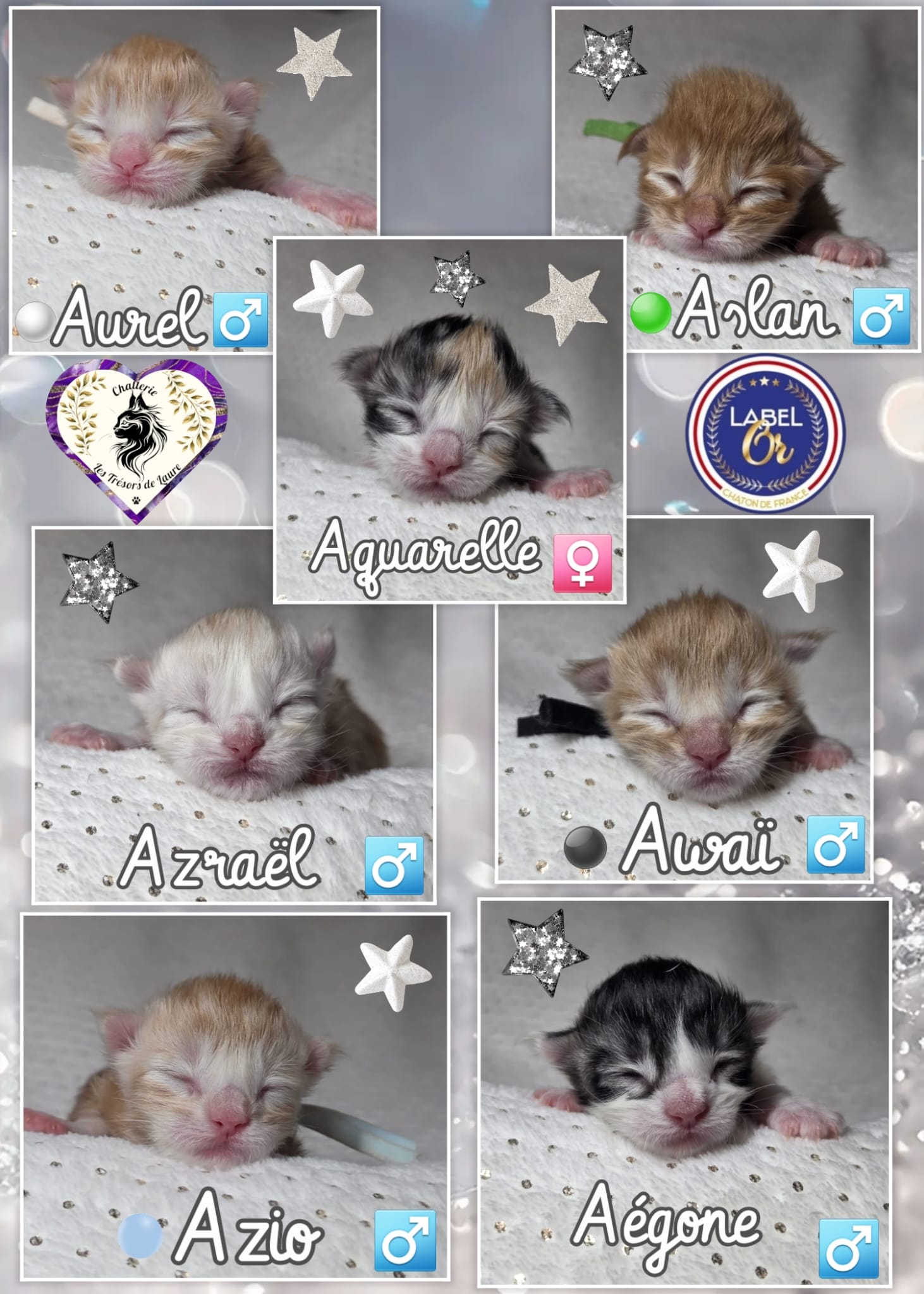 IMG-20251121-WA0045-1-