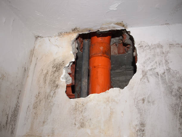 Istockphoto-1783414179-612x612