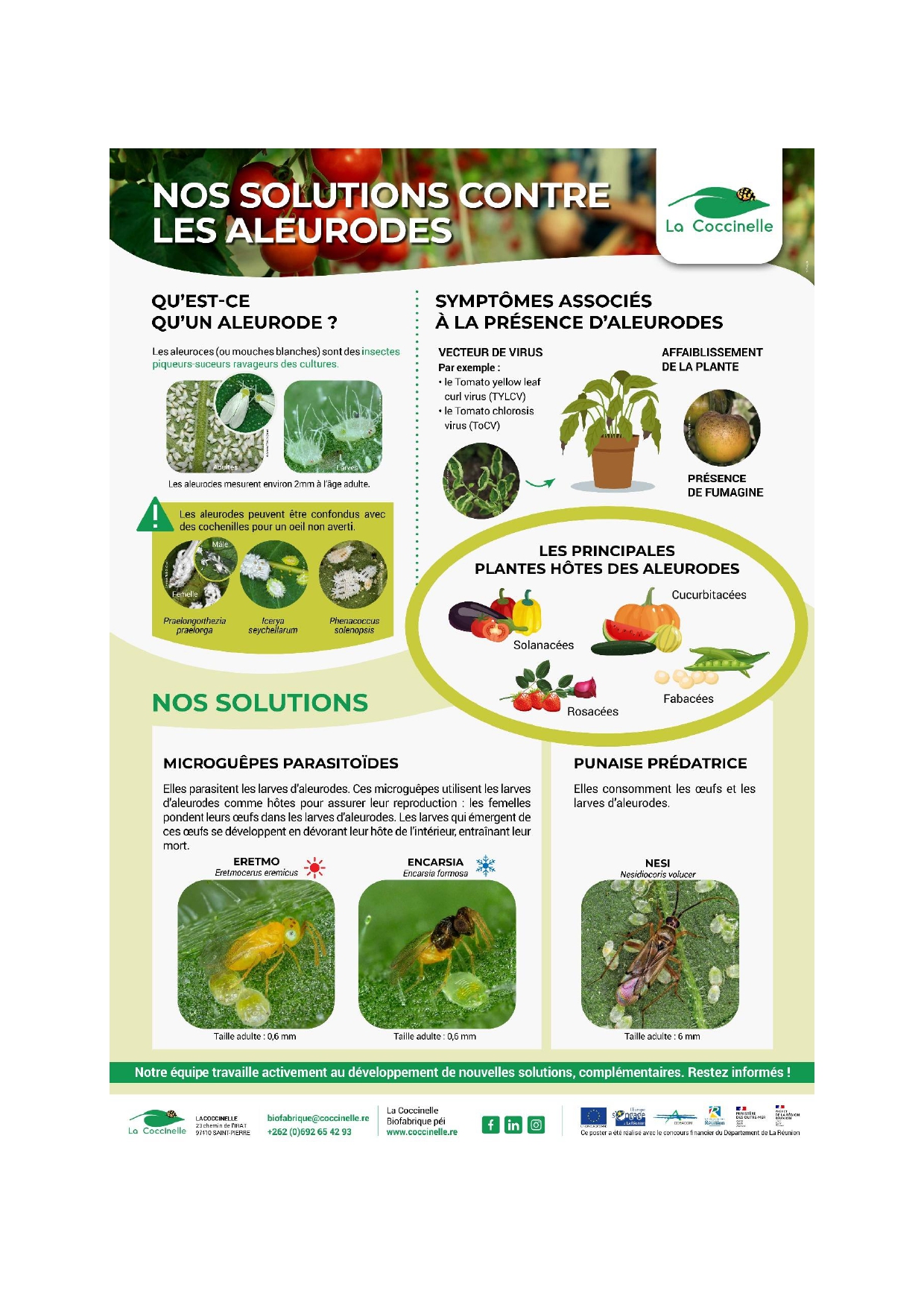 Posters-La-Coccinelle page-0001