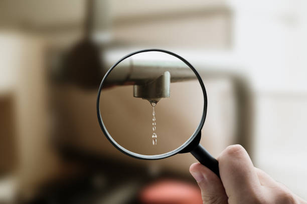 Istockphoto-2177270004-612x612