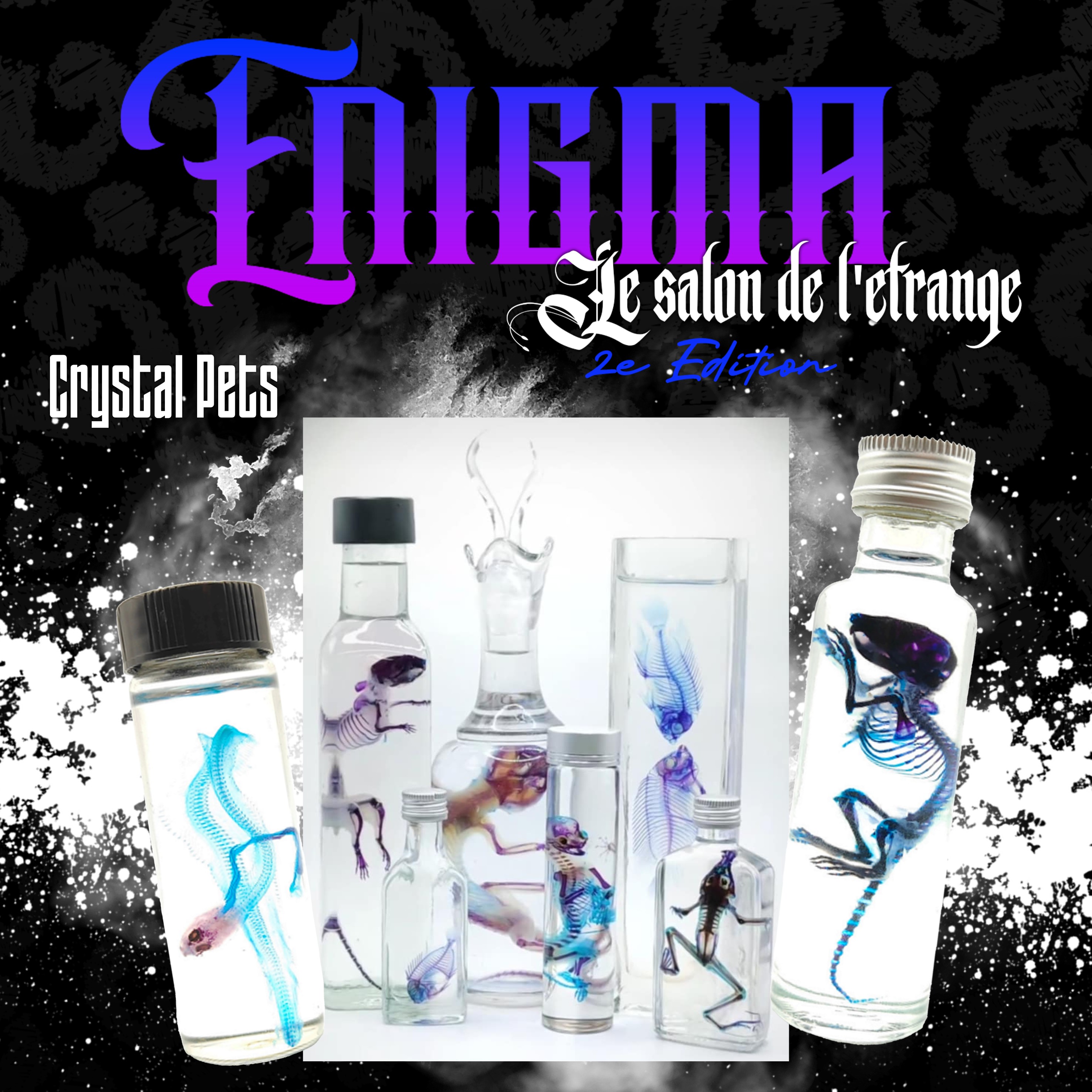 Carre crystal pets copie