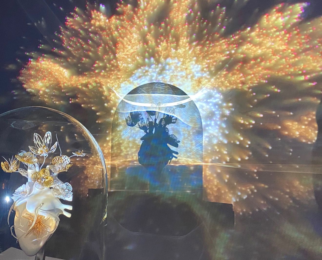 Quoi de beau ? décembre 2025