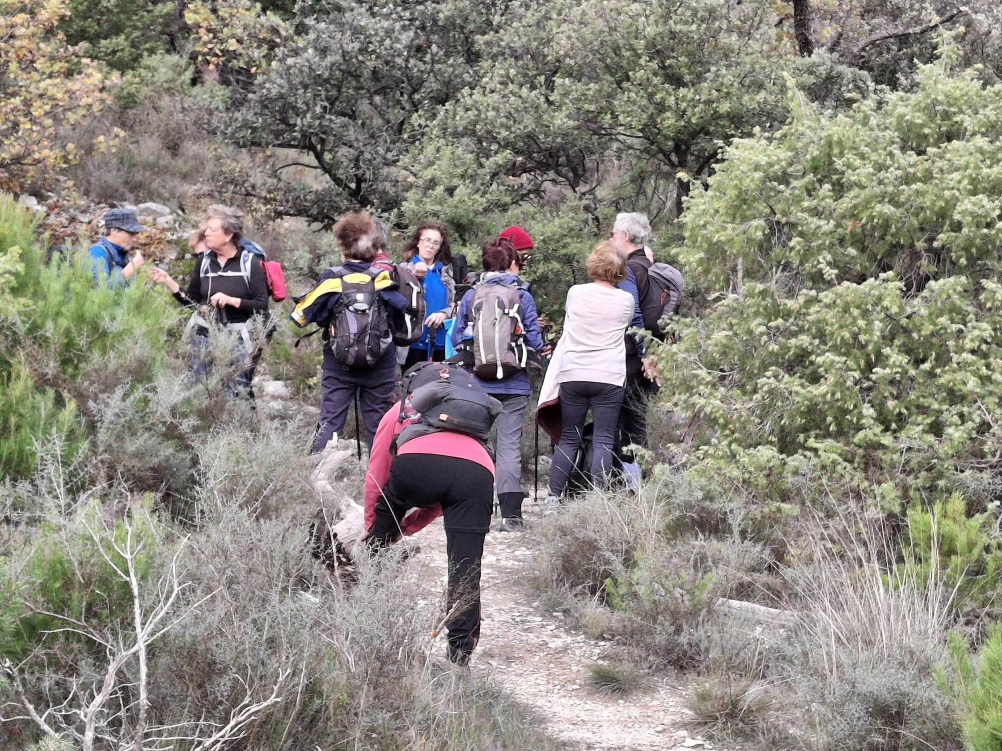 Facebook 1764091340928 7399135367622633897