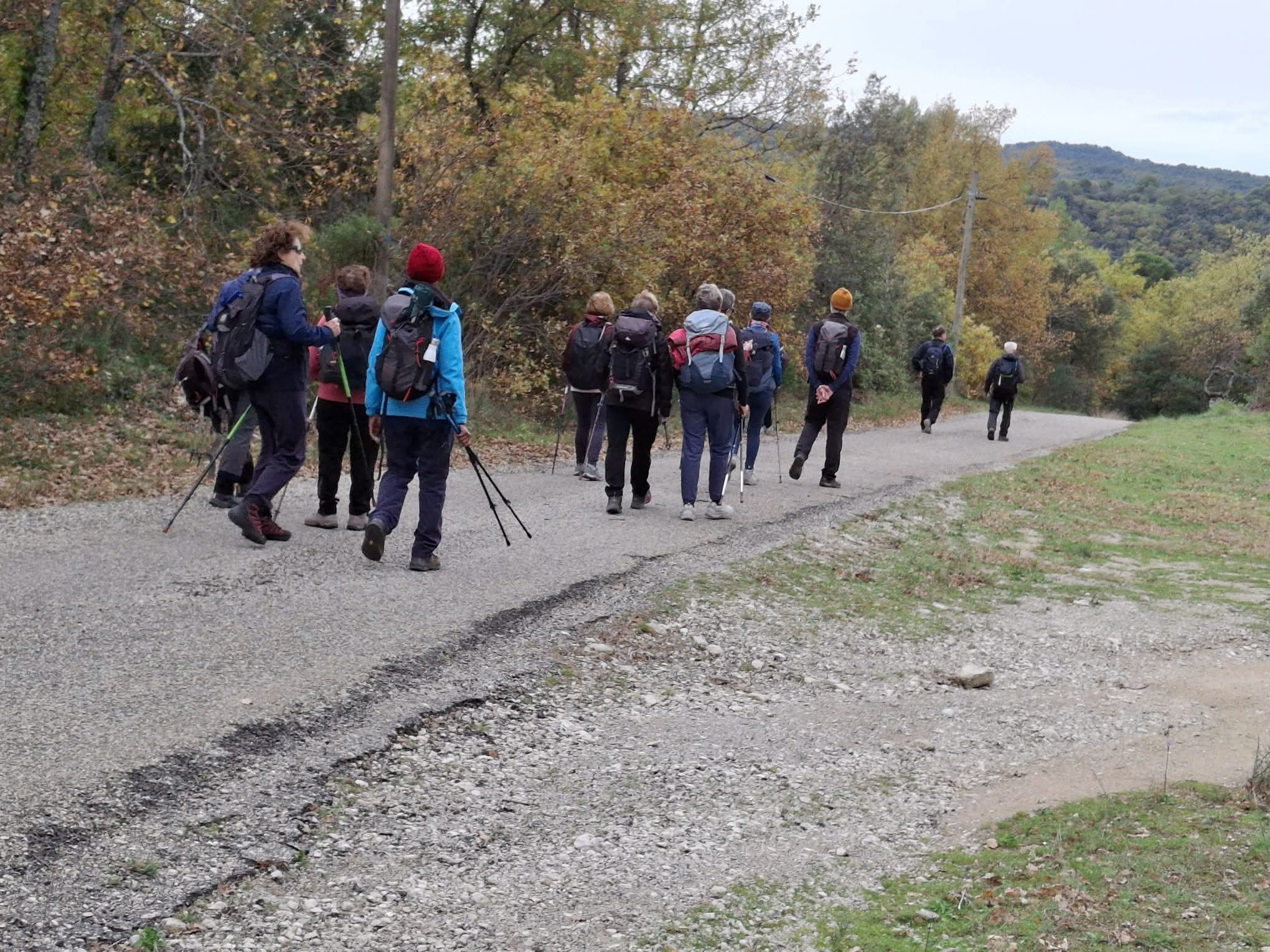 Facebook 1764091319499 7399135277744086773