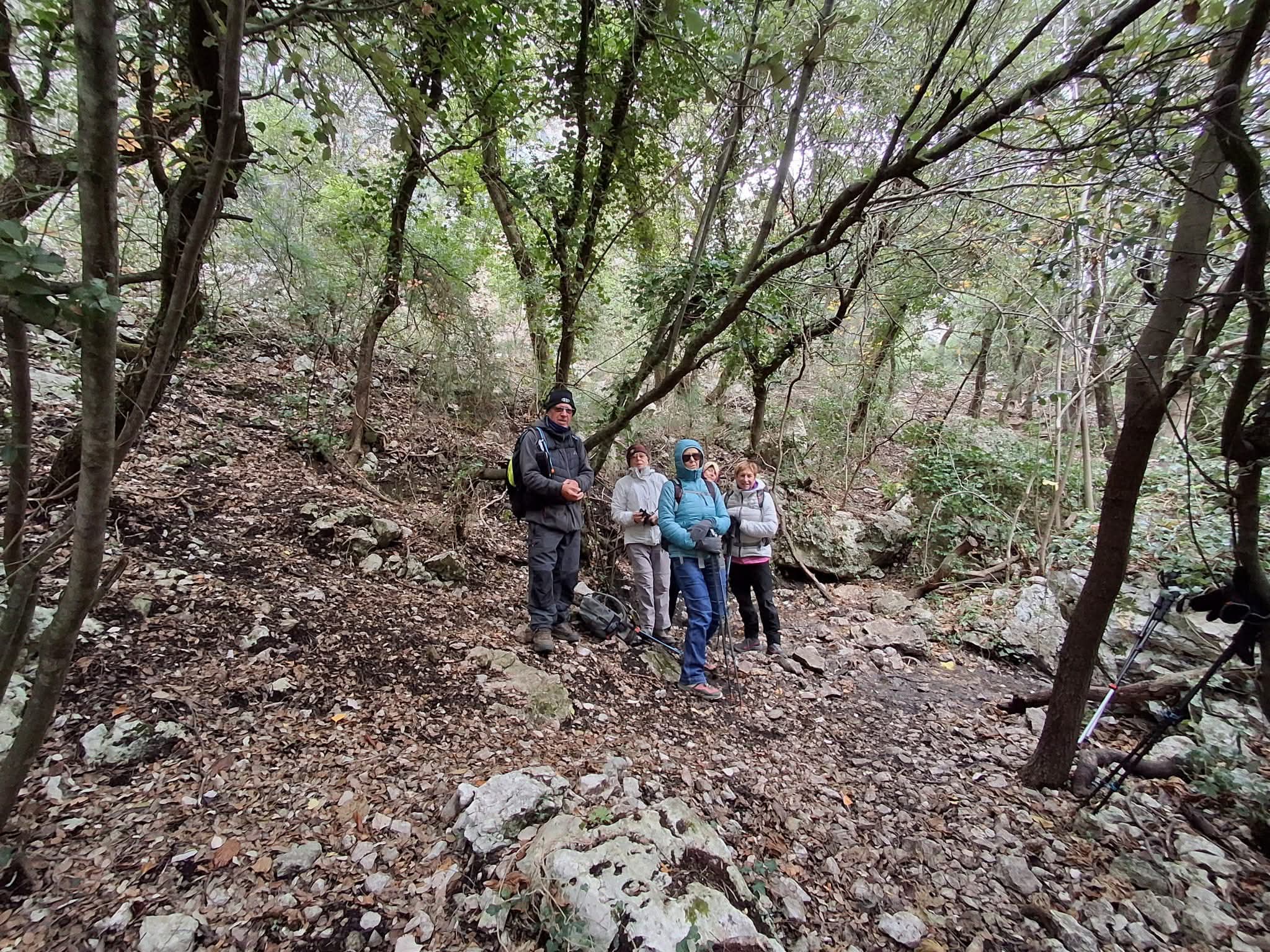 Facebook 1764091264100 7399135045380497600