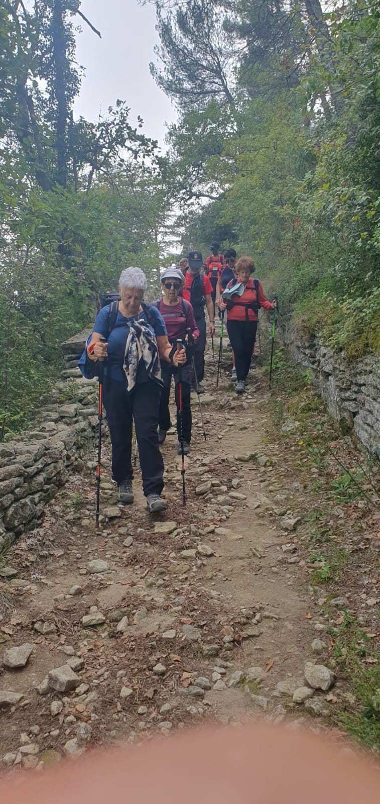 558866350 765931182928842 2377230118689976461 n