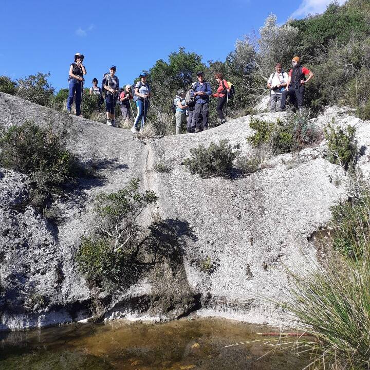 555469193 760835563438404 8275109190353349828 n