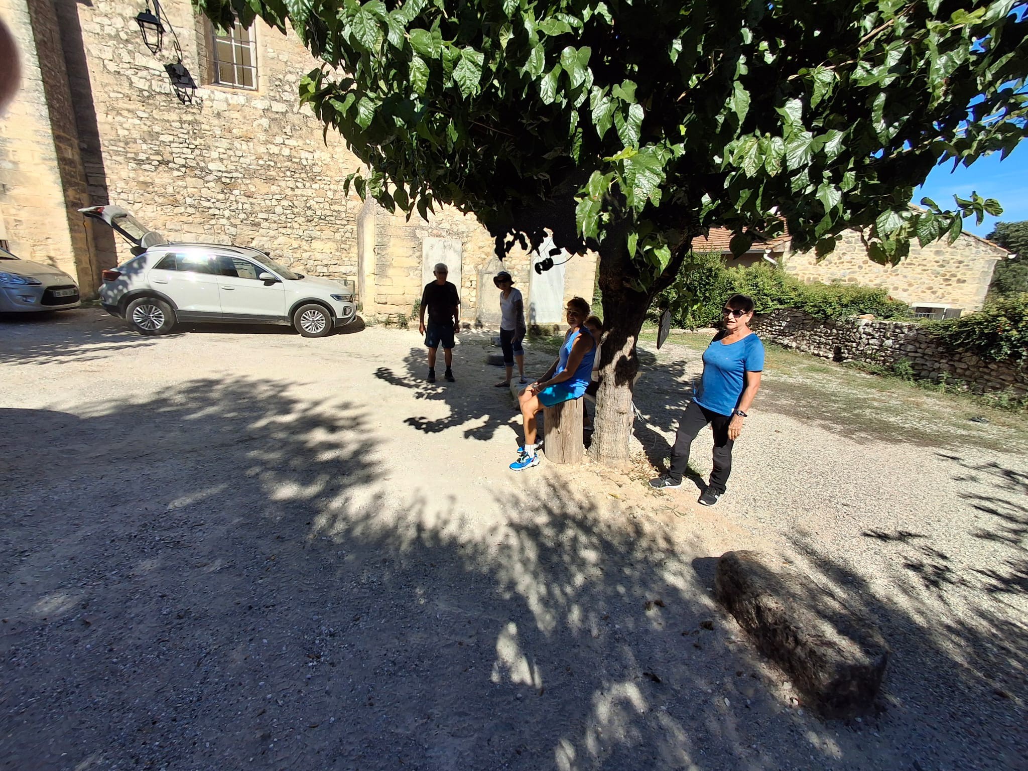 549925493 754630667392227 6848514281355577022 n